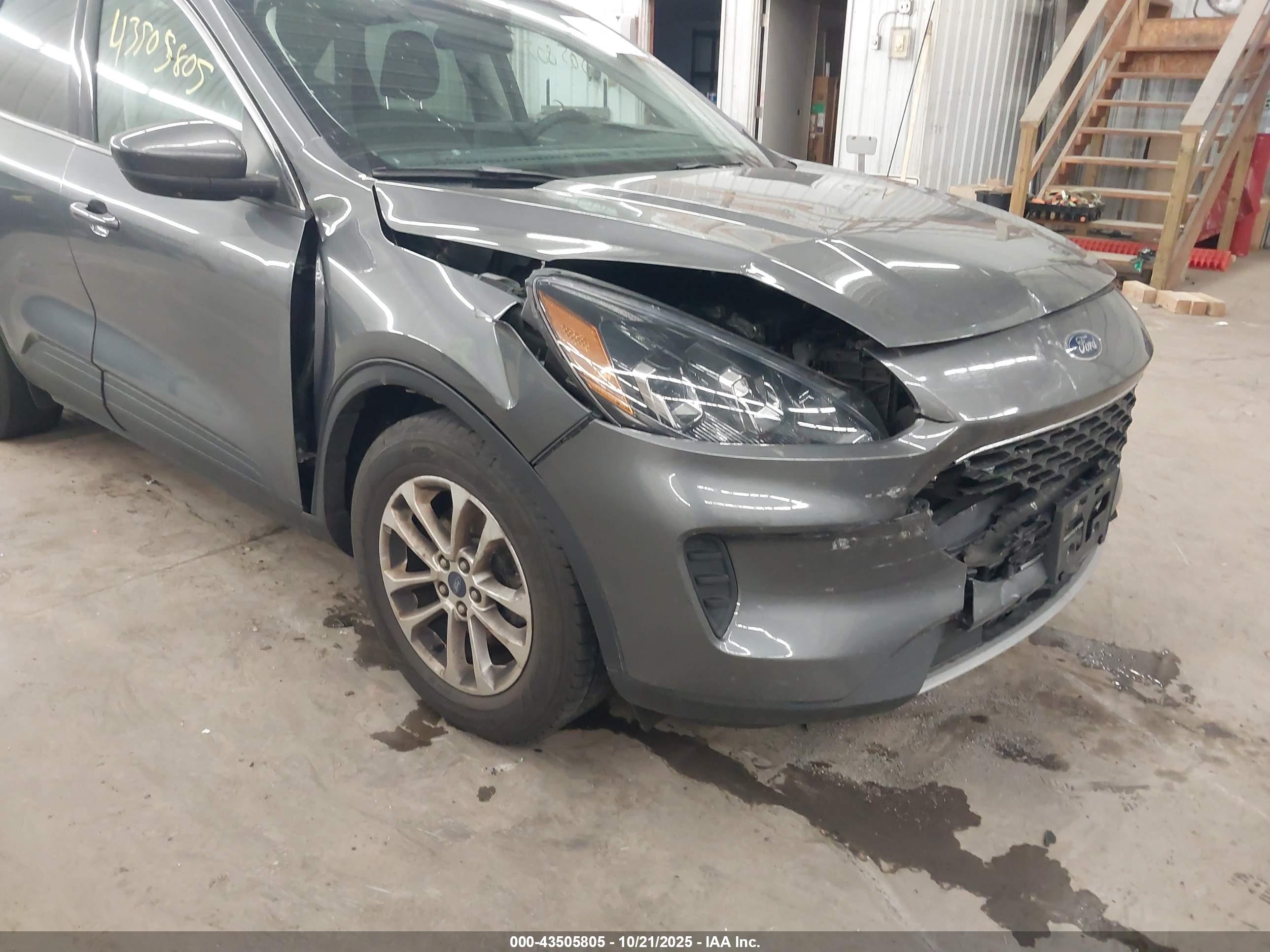 FORD ESCAPE image 6