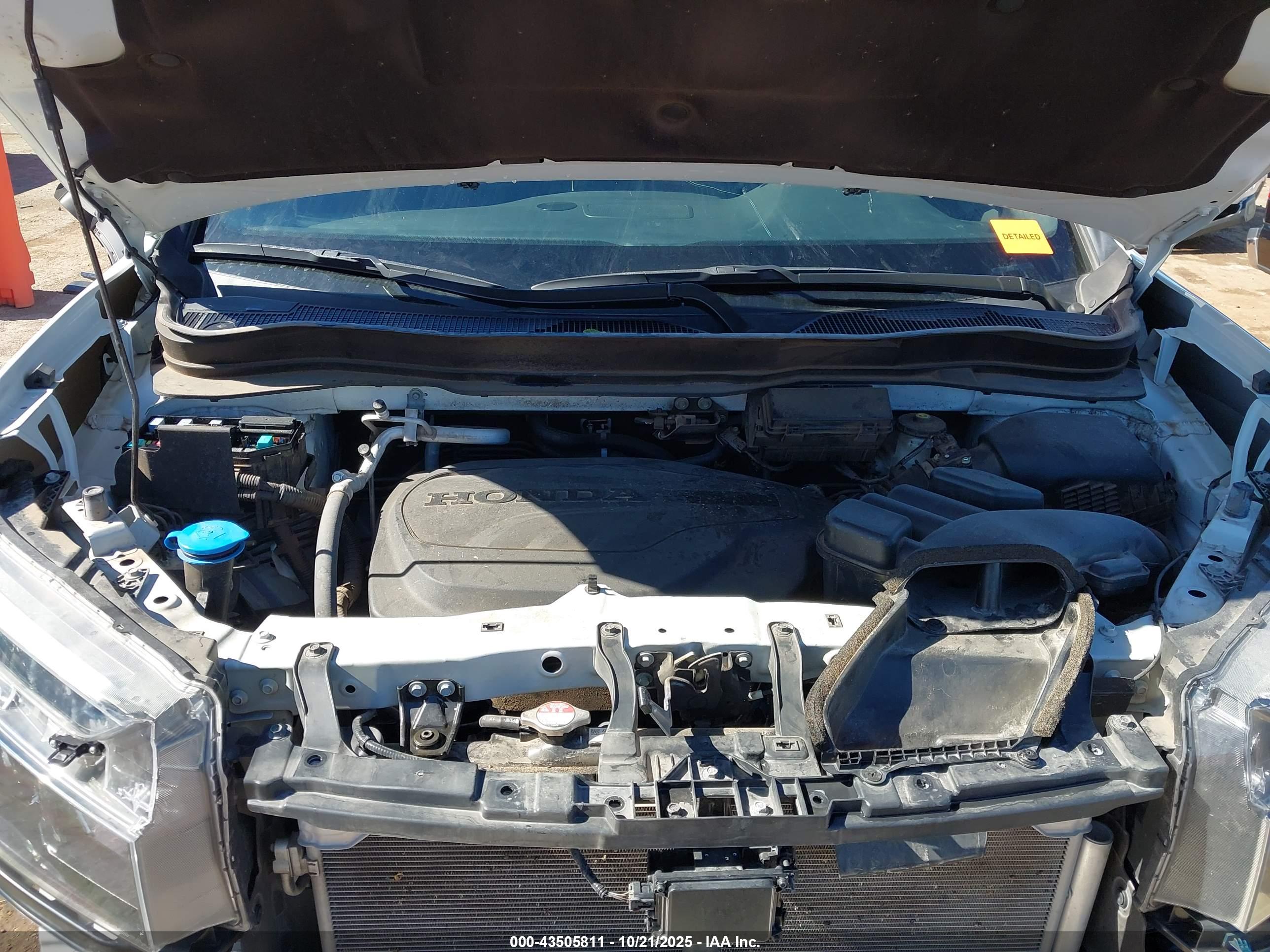 HONDA PASSPORT image 10