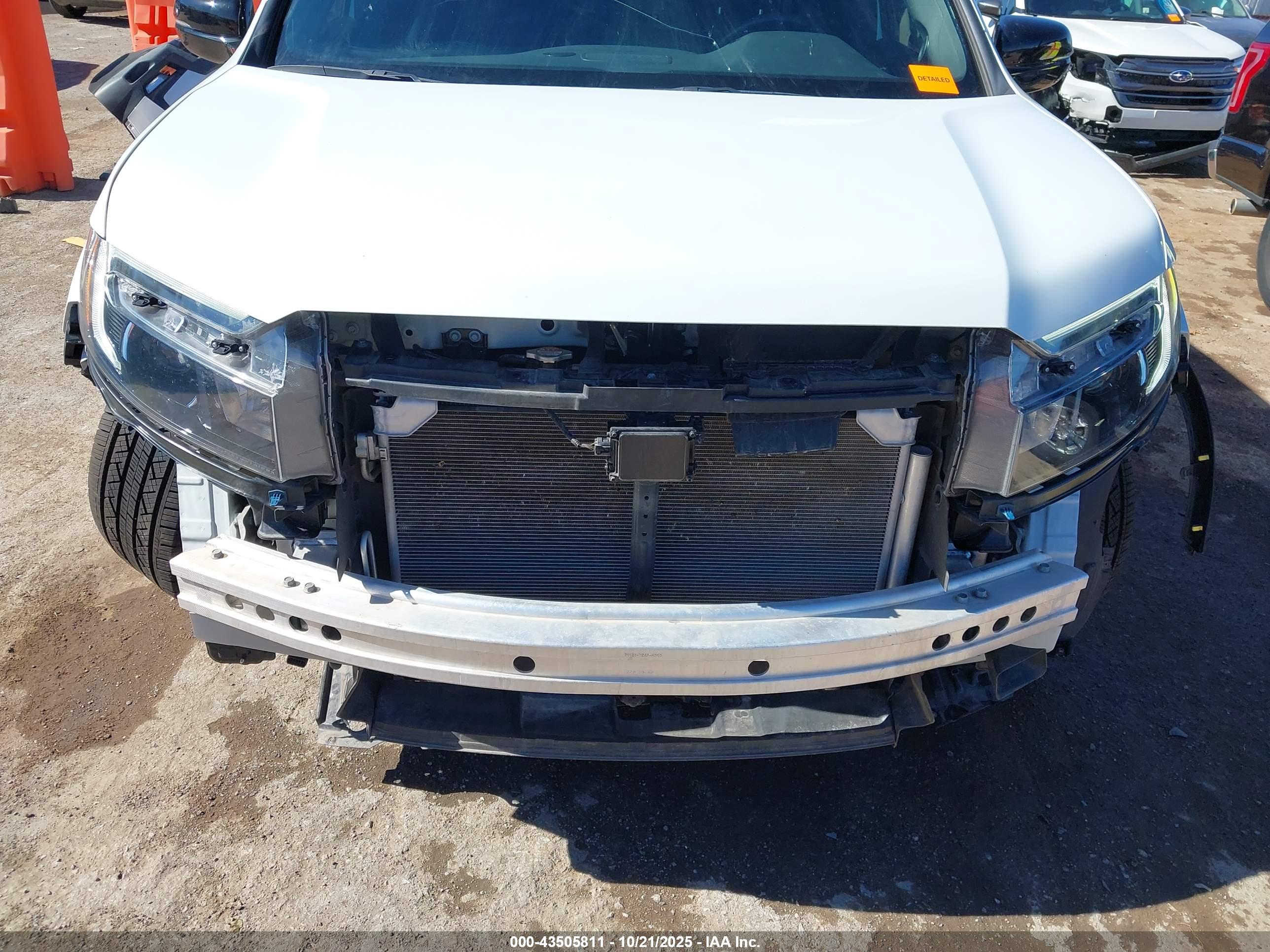 HONDA PASSPORT image 6