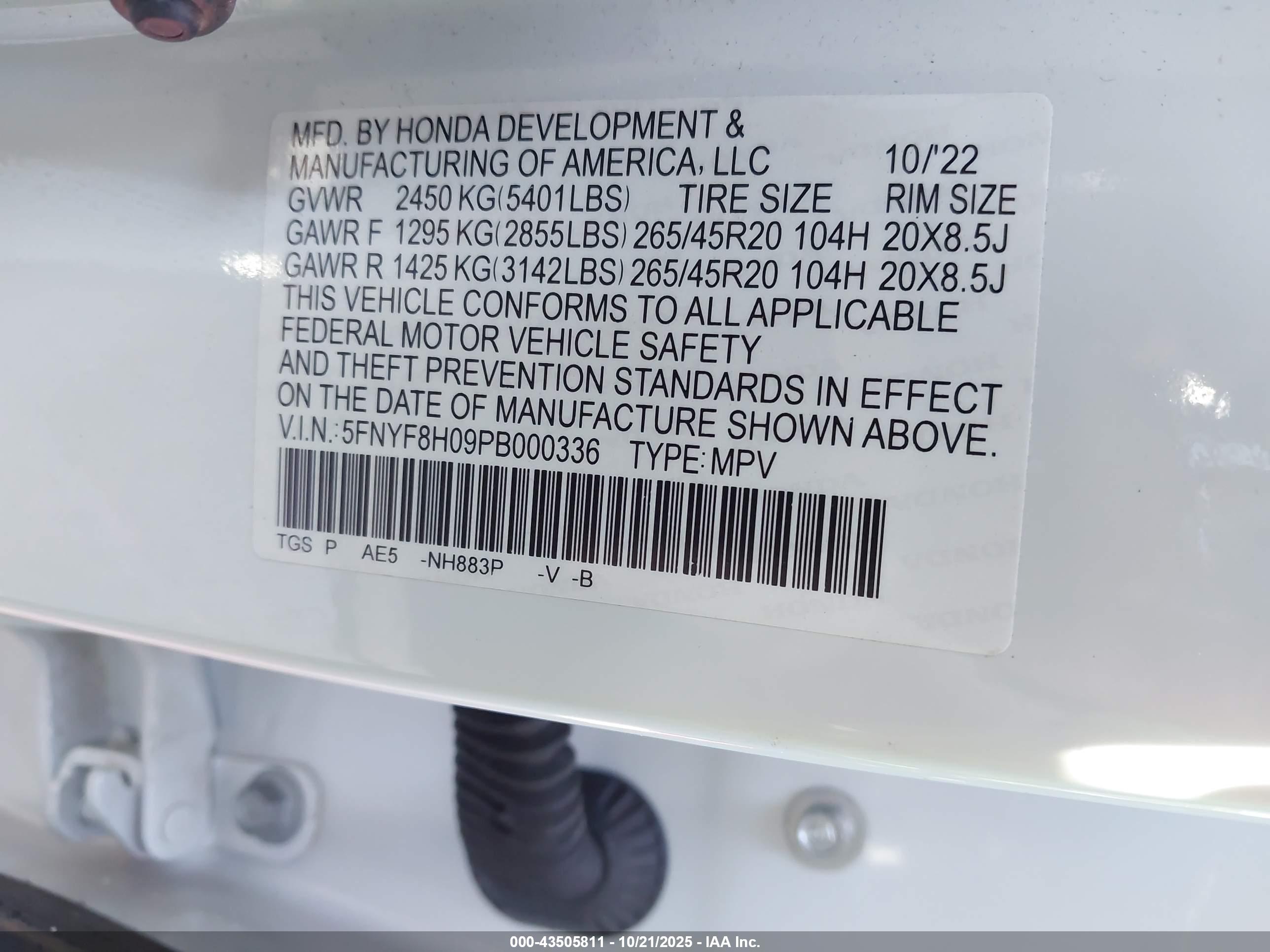 HONDA PASSPORT image 9