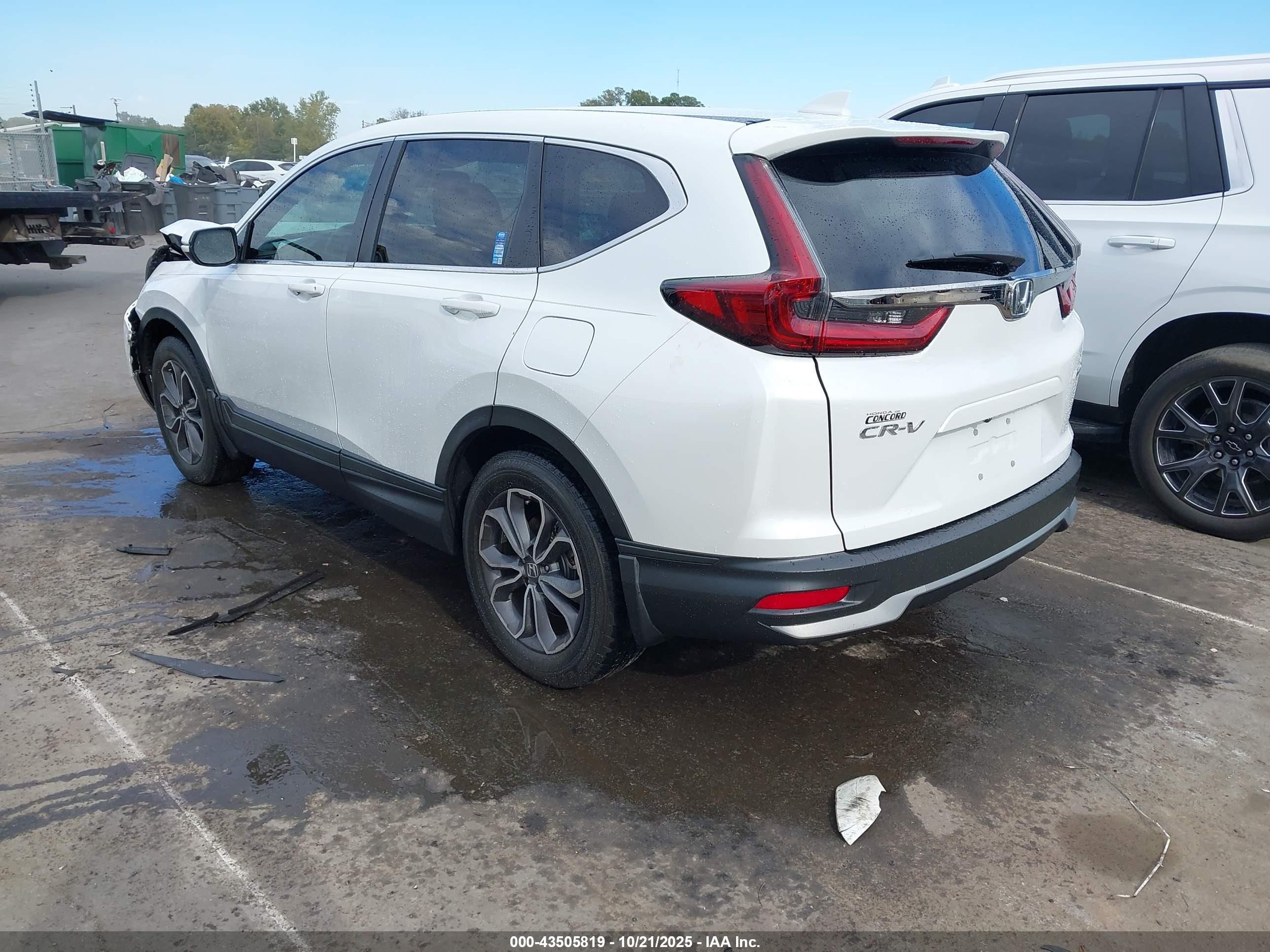 HONDA CR-V image 3