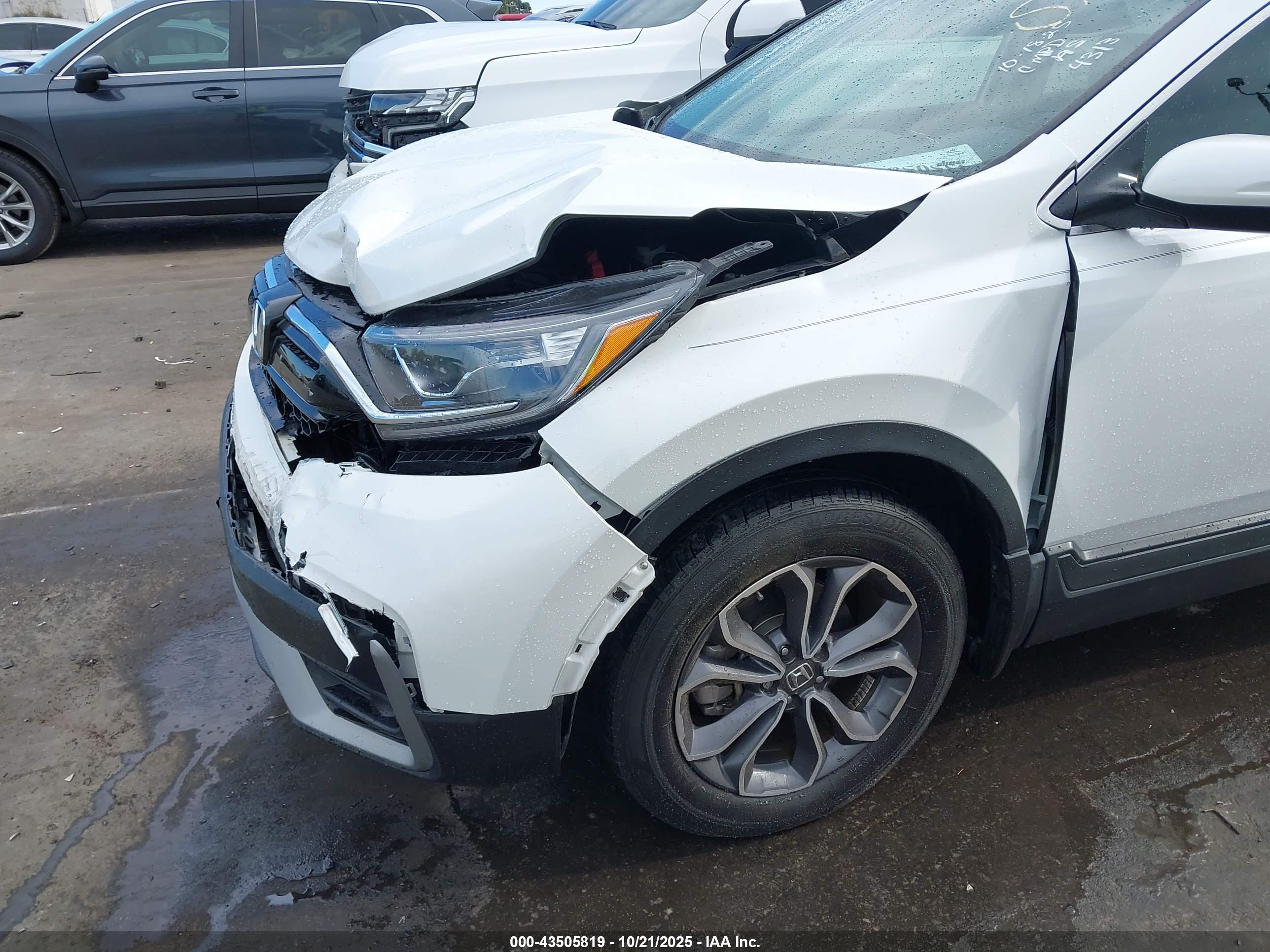 HONDA CR-V image 6