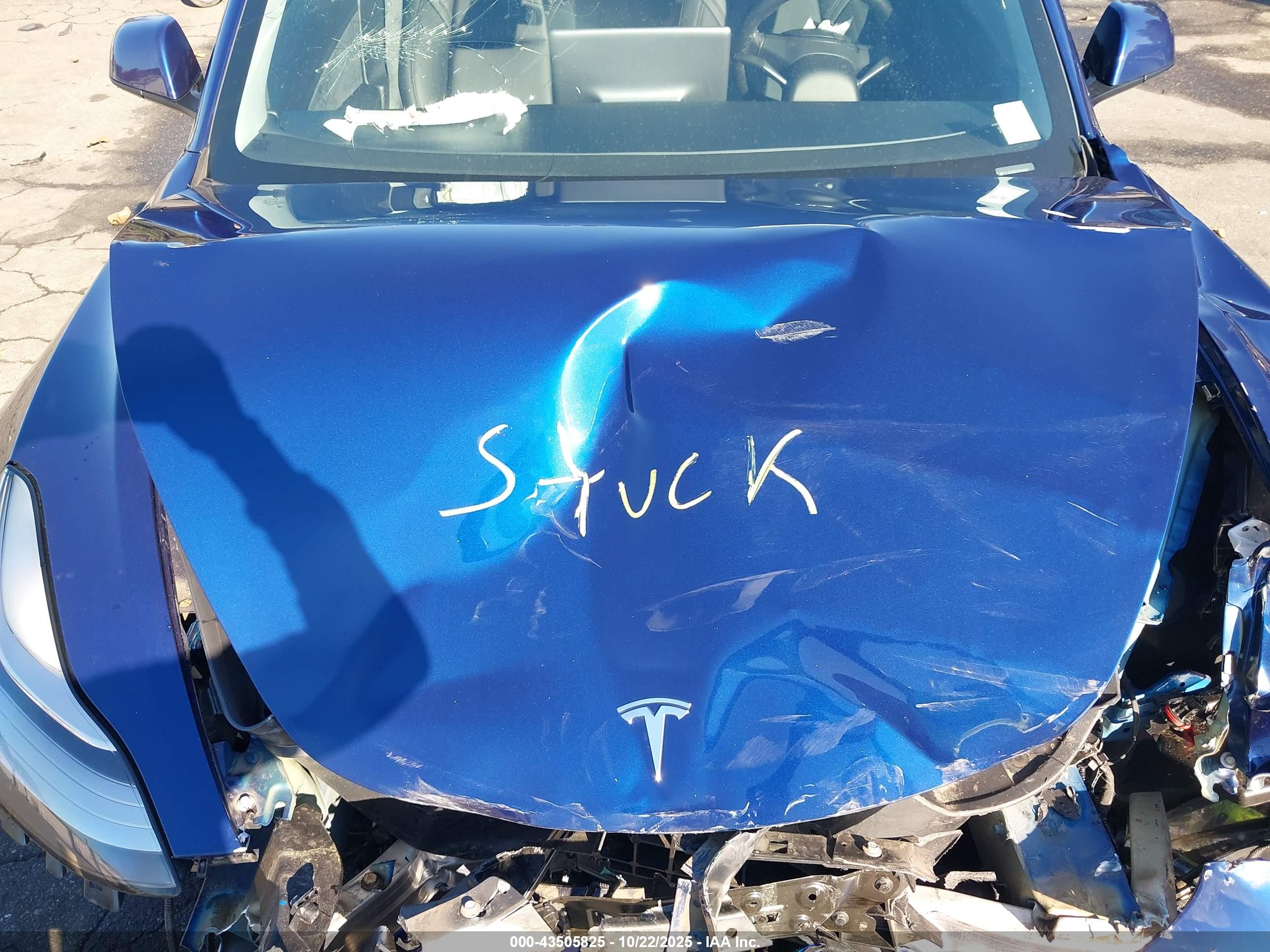 TESLA MODEL image 10
