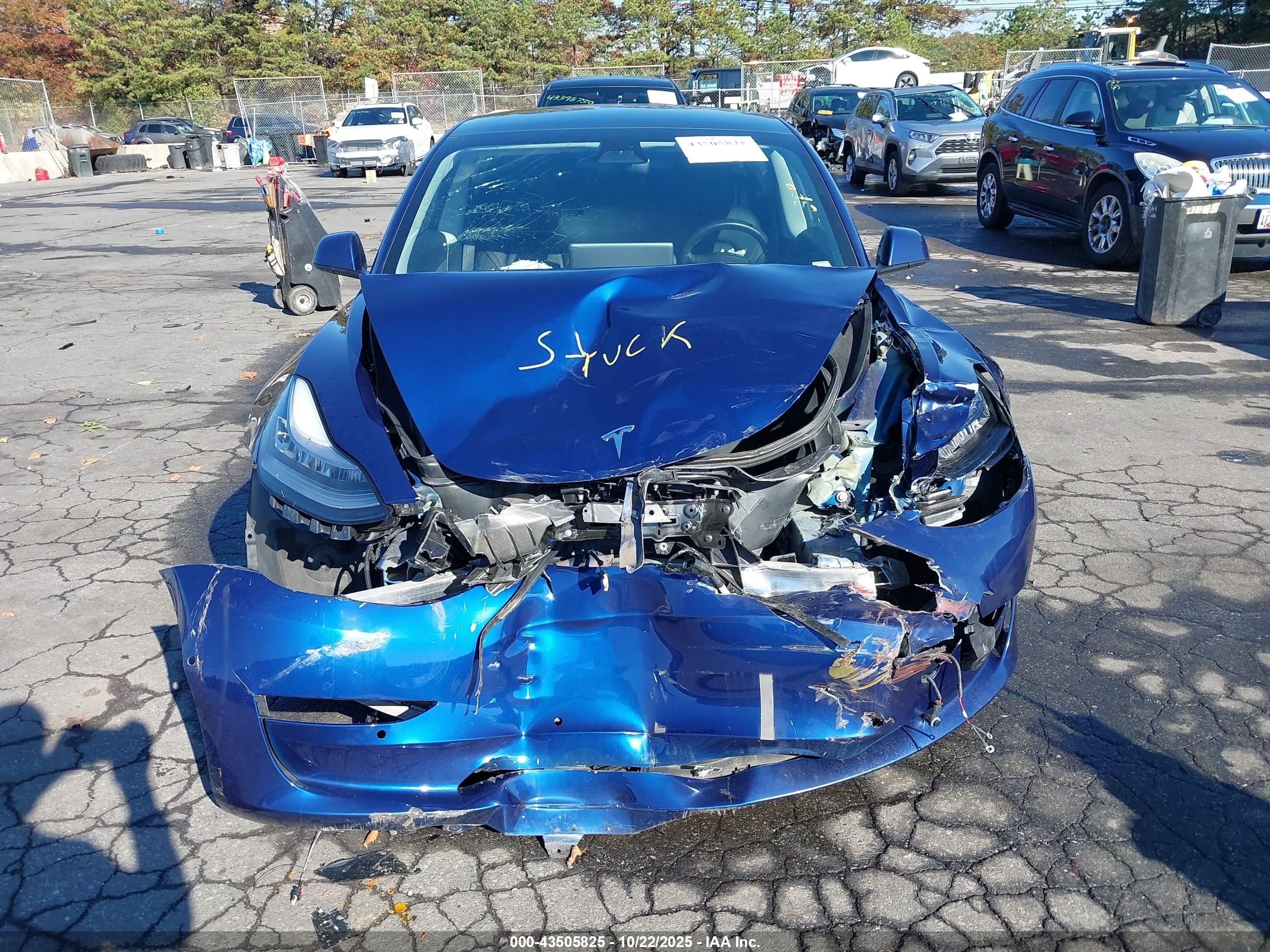 TESLA MODEL image 6