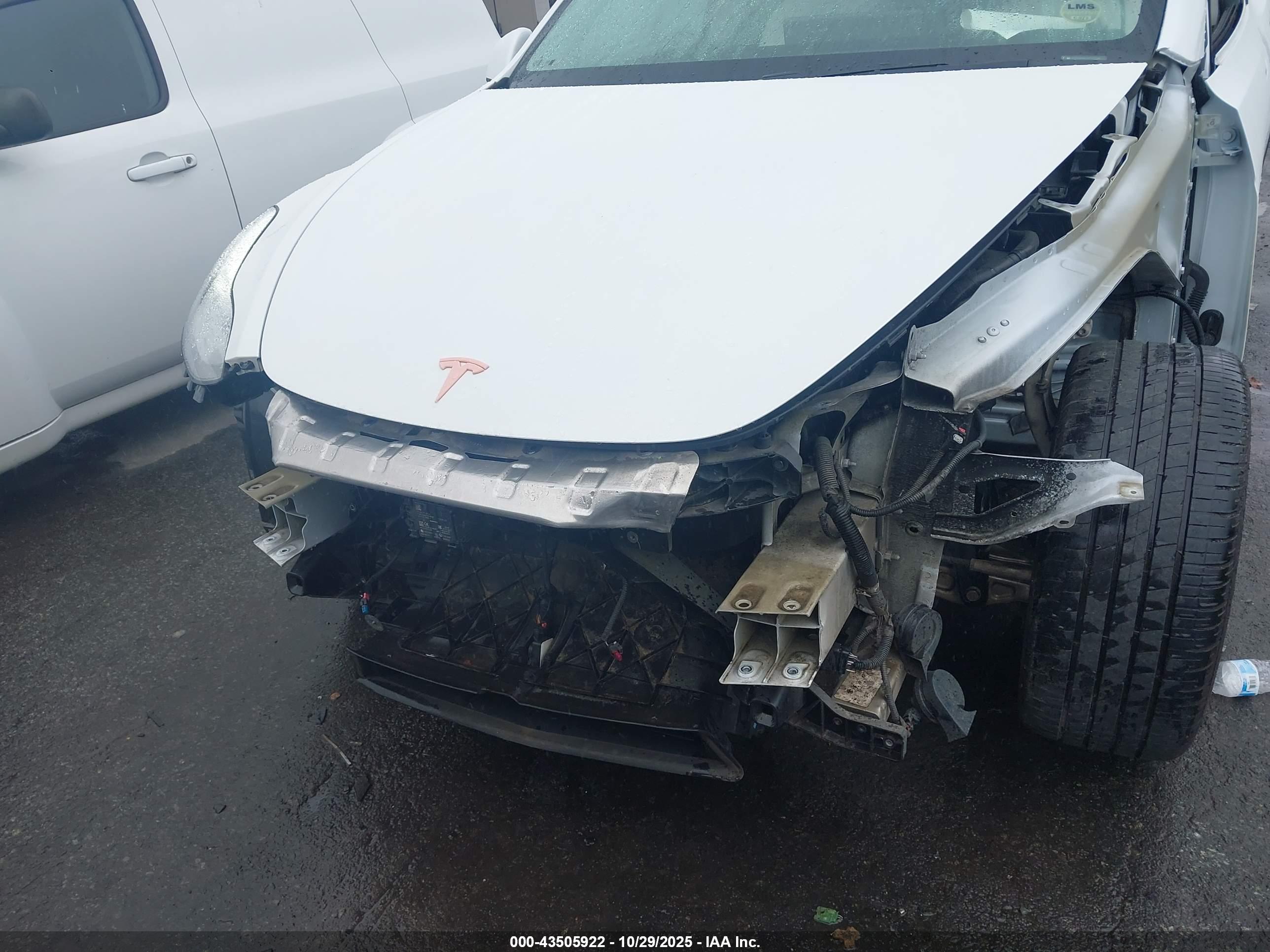 TESLA MODEL image 6