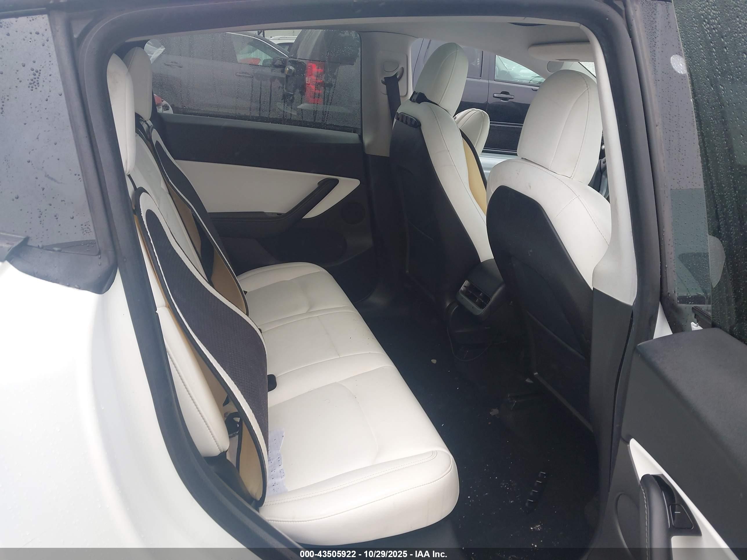 TESLA MODEL image 8