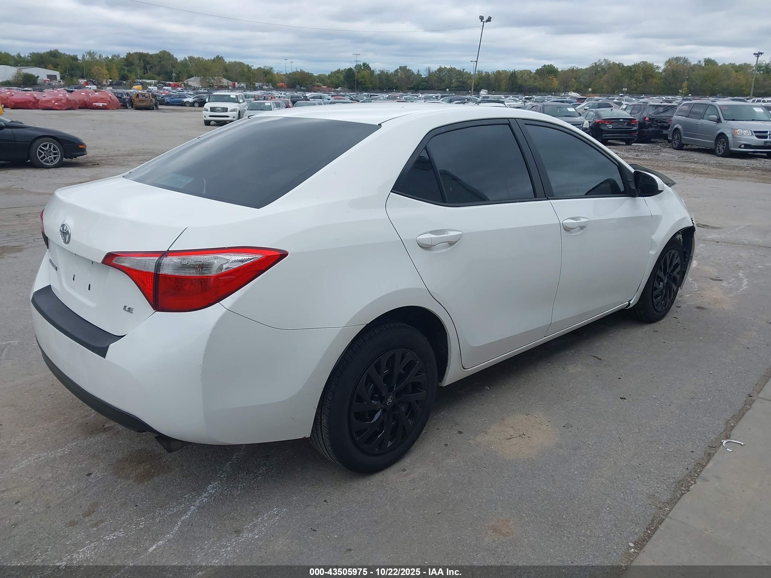 TOYOTA COROLLA image 4
