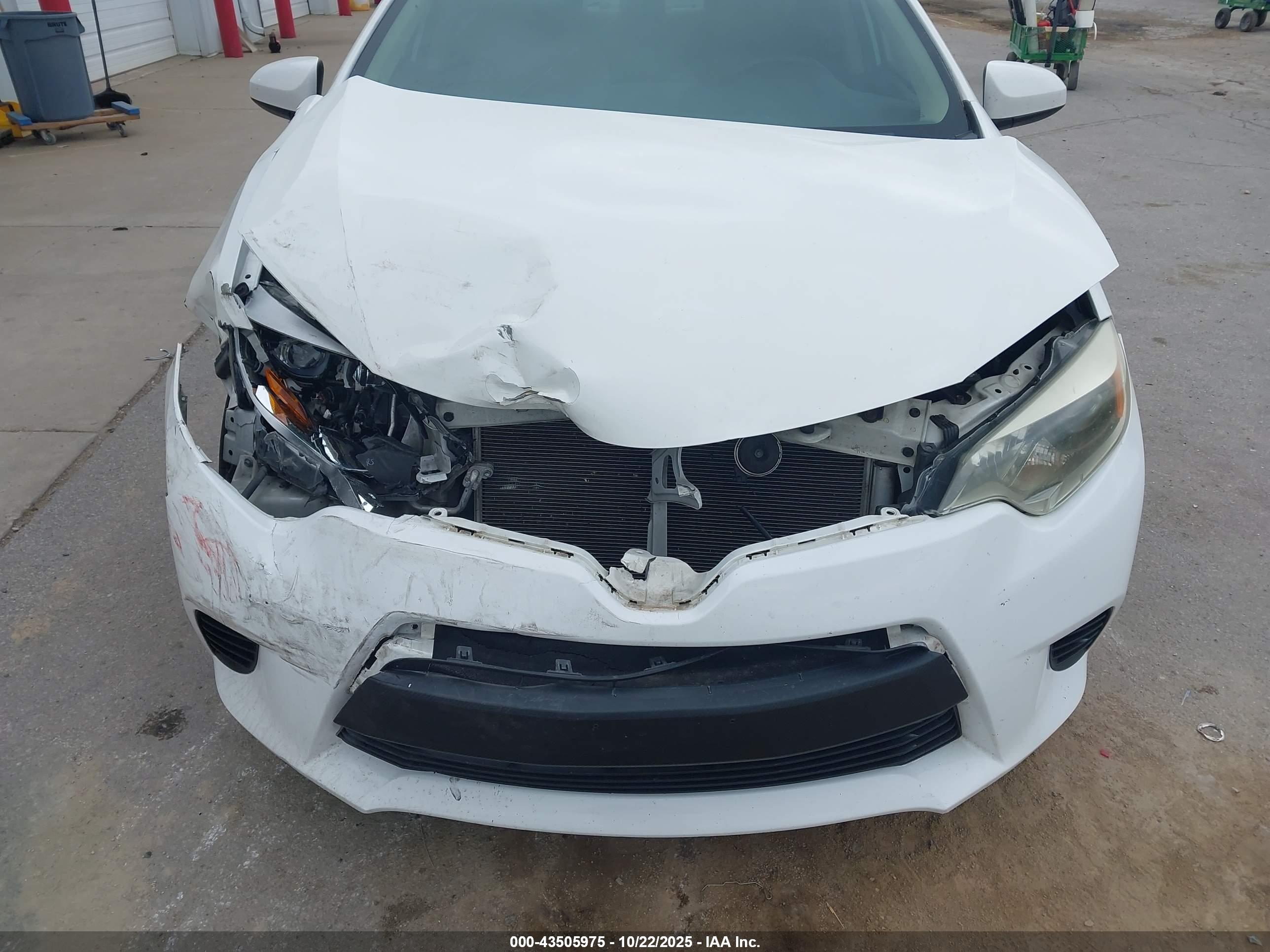 TOYOTA COROLLA image 6