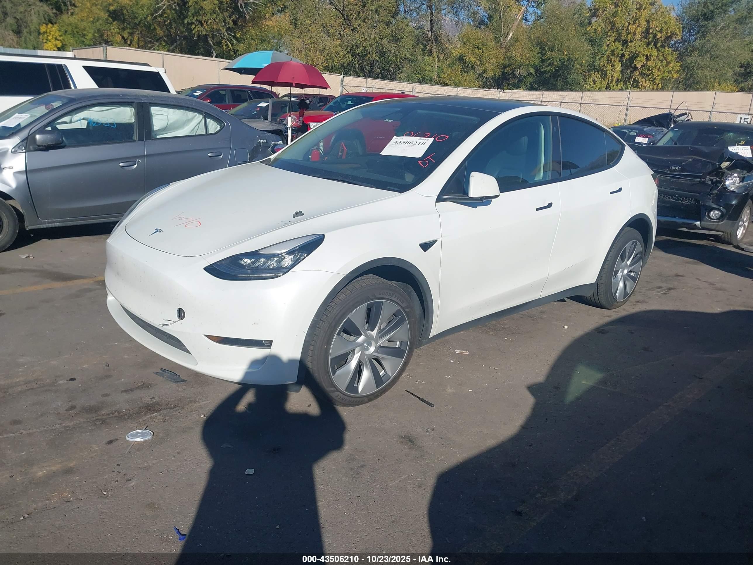 TESLA MODEL image 2