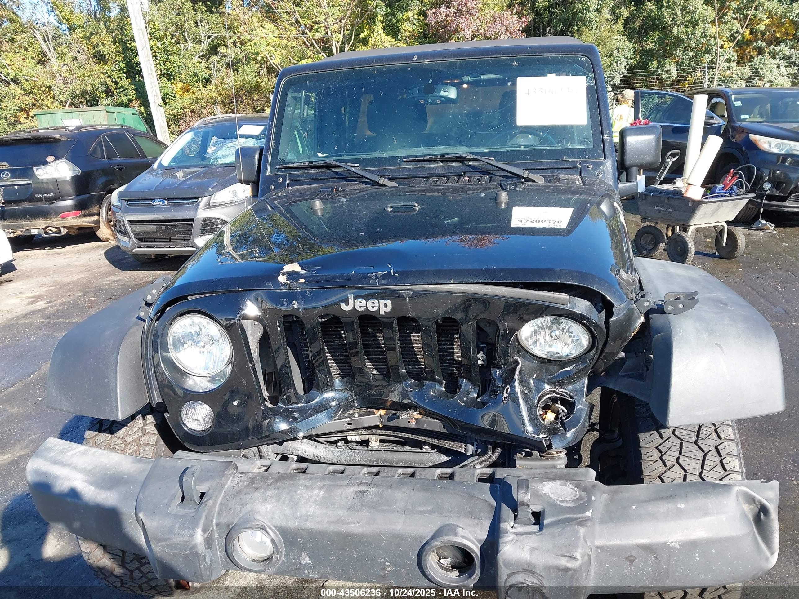 JEEP WRANGLER image 6