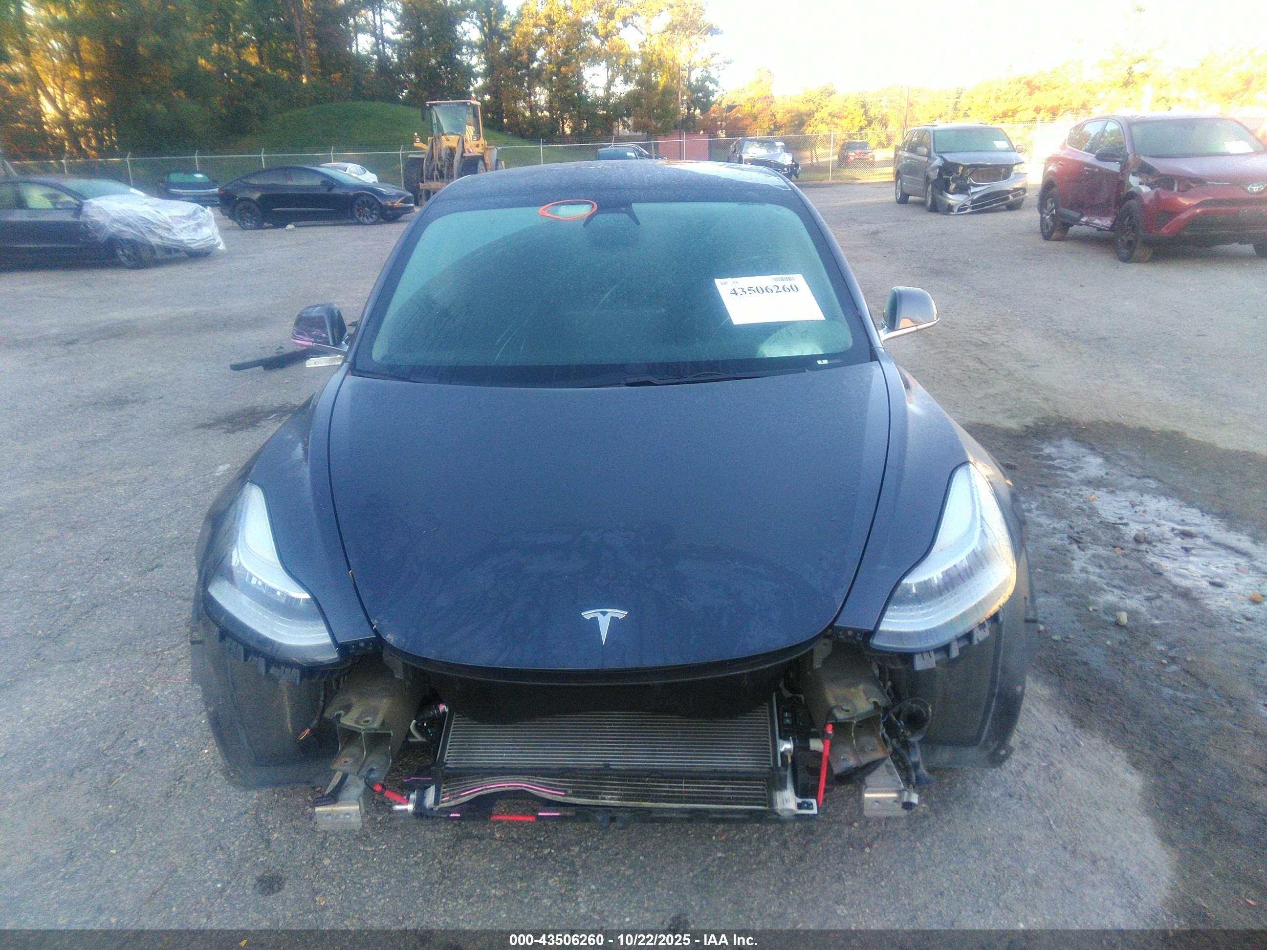 TESLA MODEL image 6