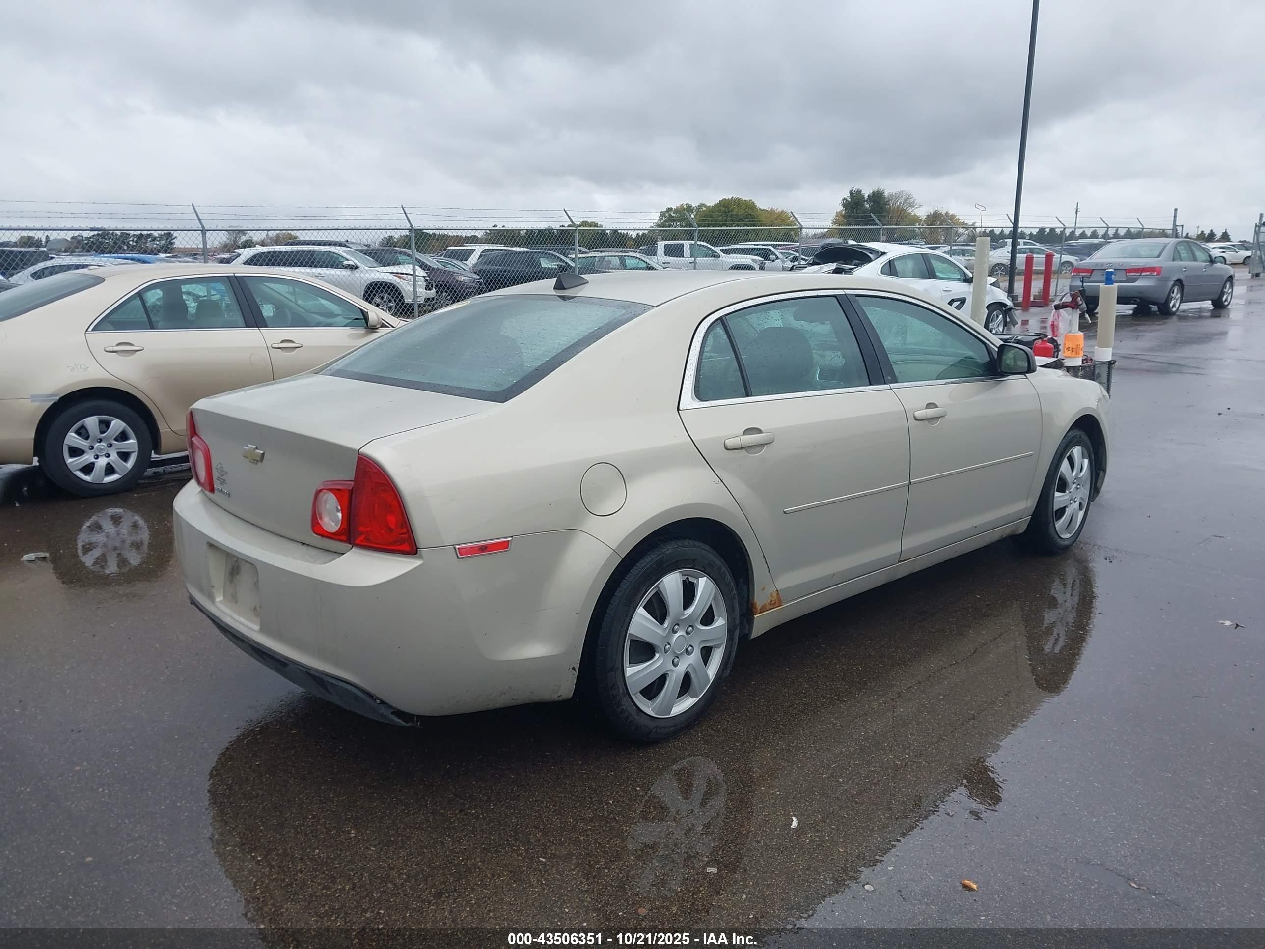 CHEVROLET MALIBU image 4