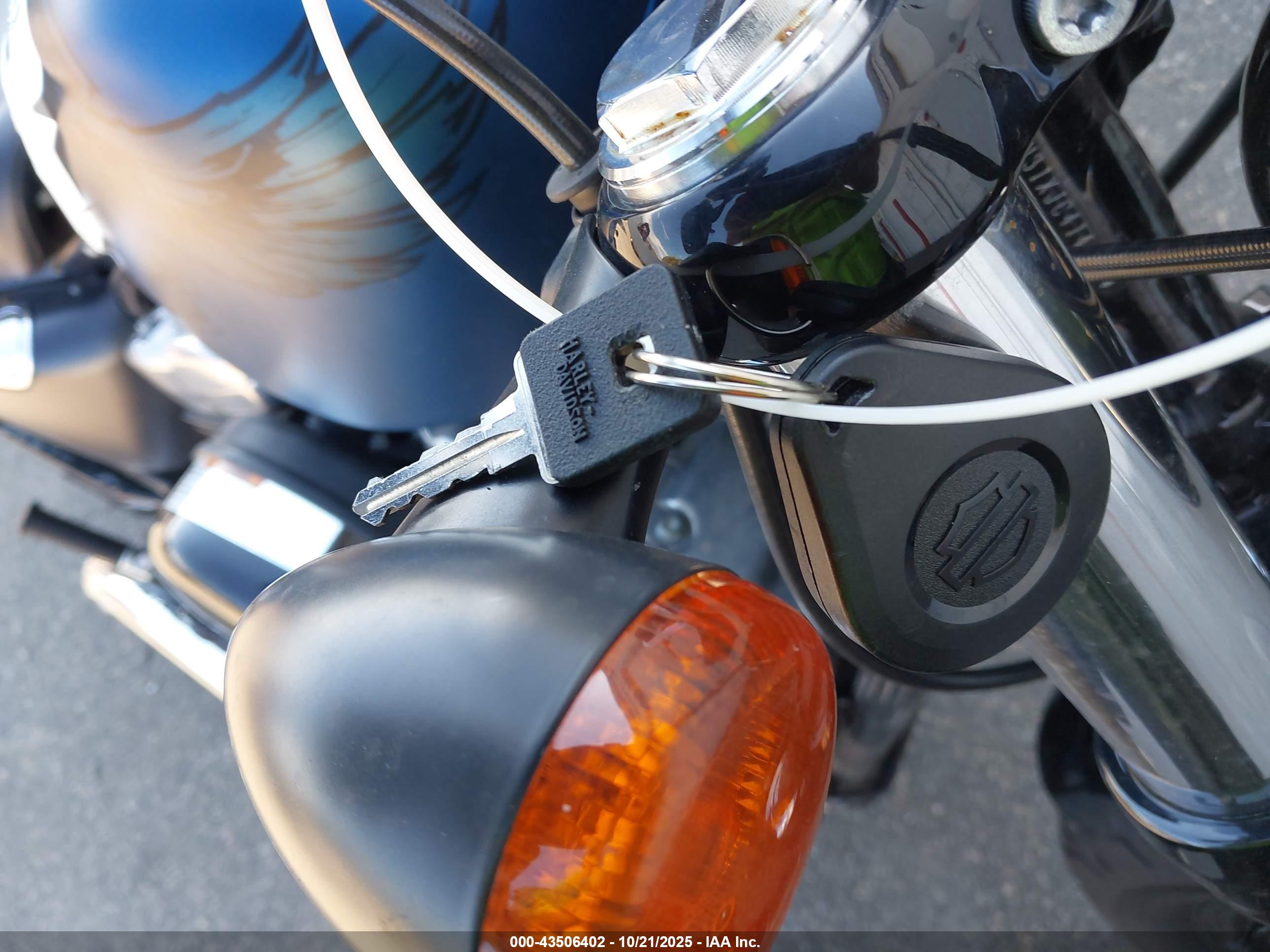HARLEY-DAVIDSON XL1200 image 11