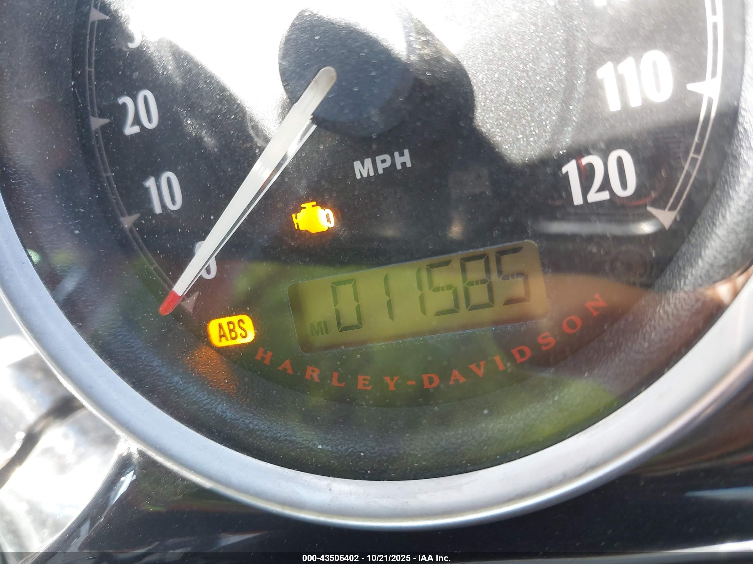 HARLEY-DAVIDSON XL1200 image 7