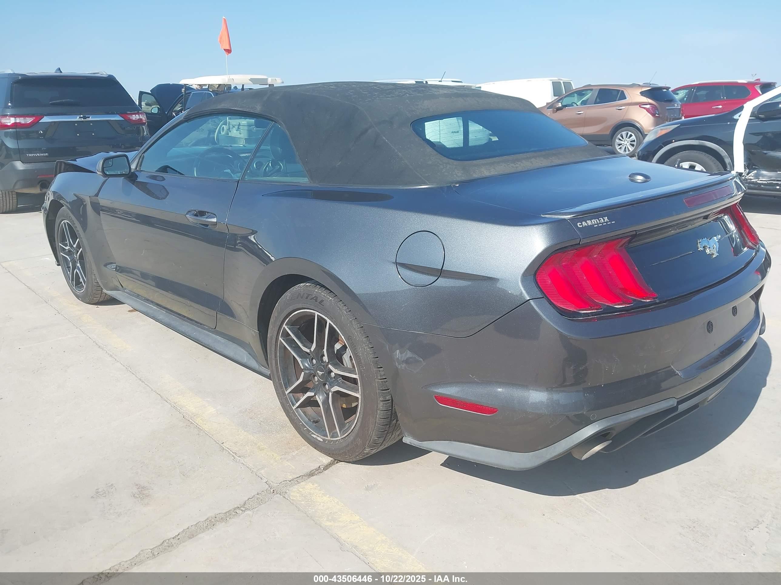 FORD MUSTANG image 3