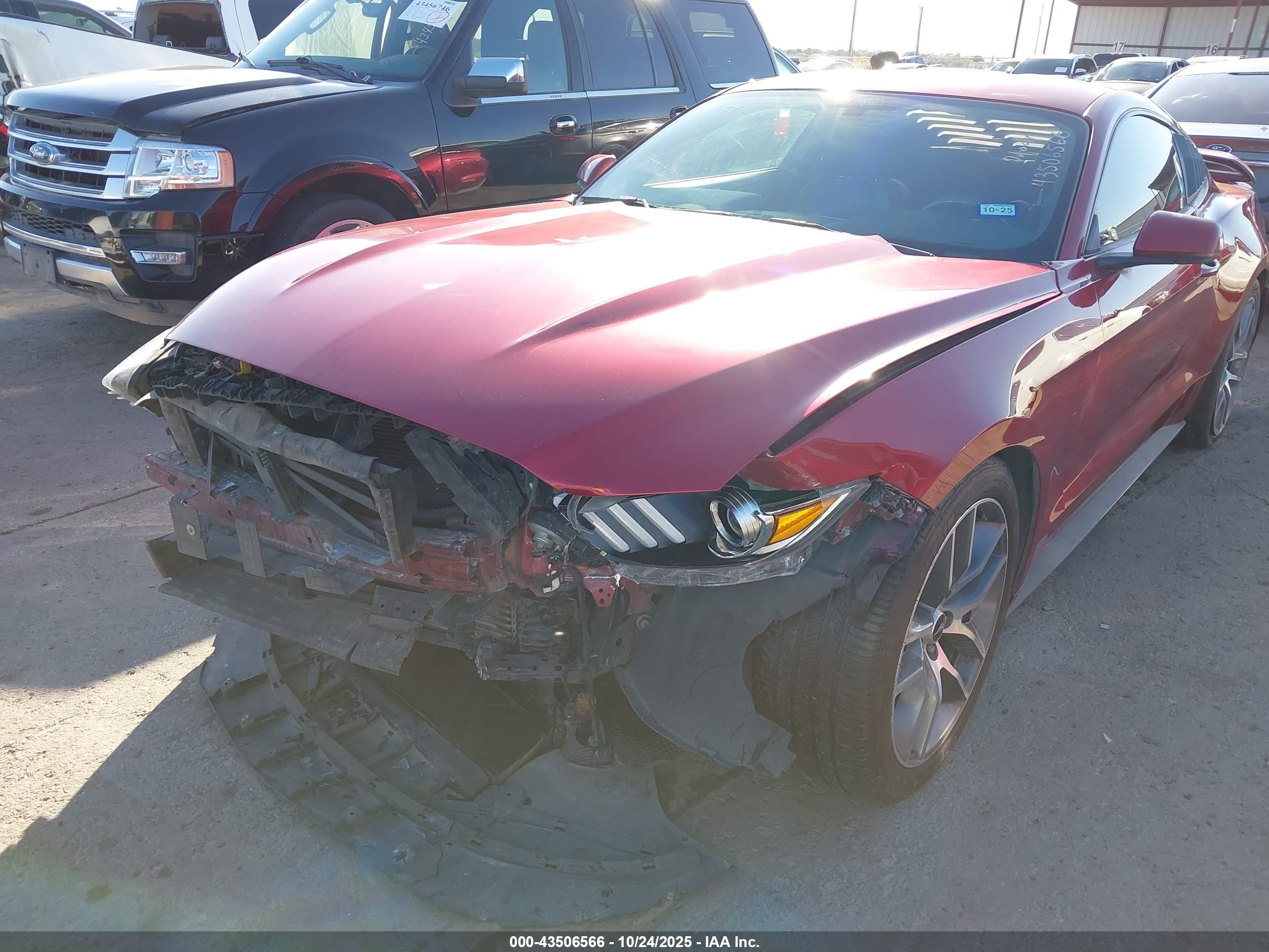 FORD MUSTANG image 6