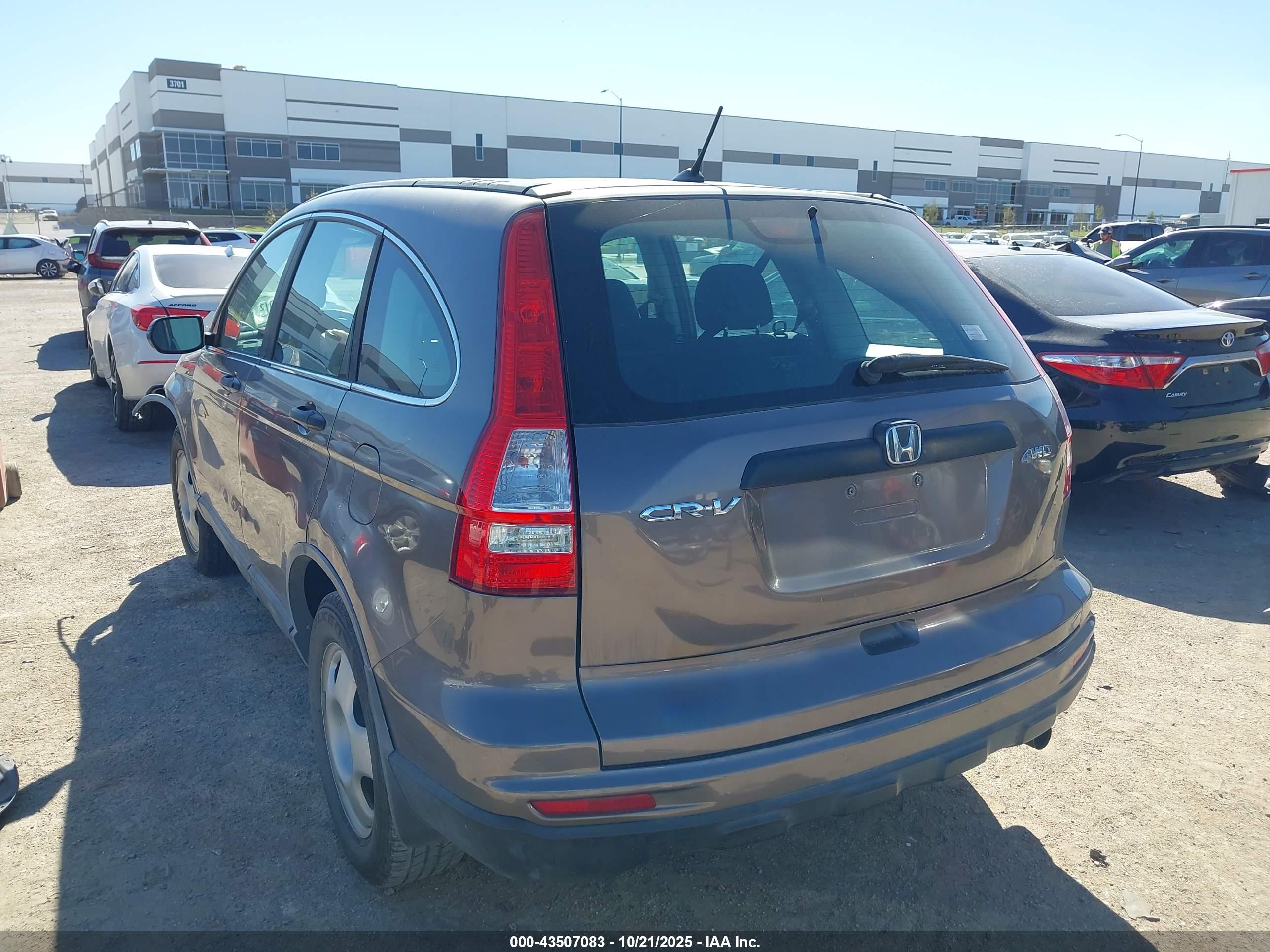 HONDA CR-V image 3