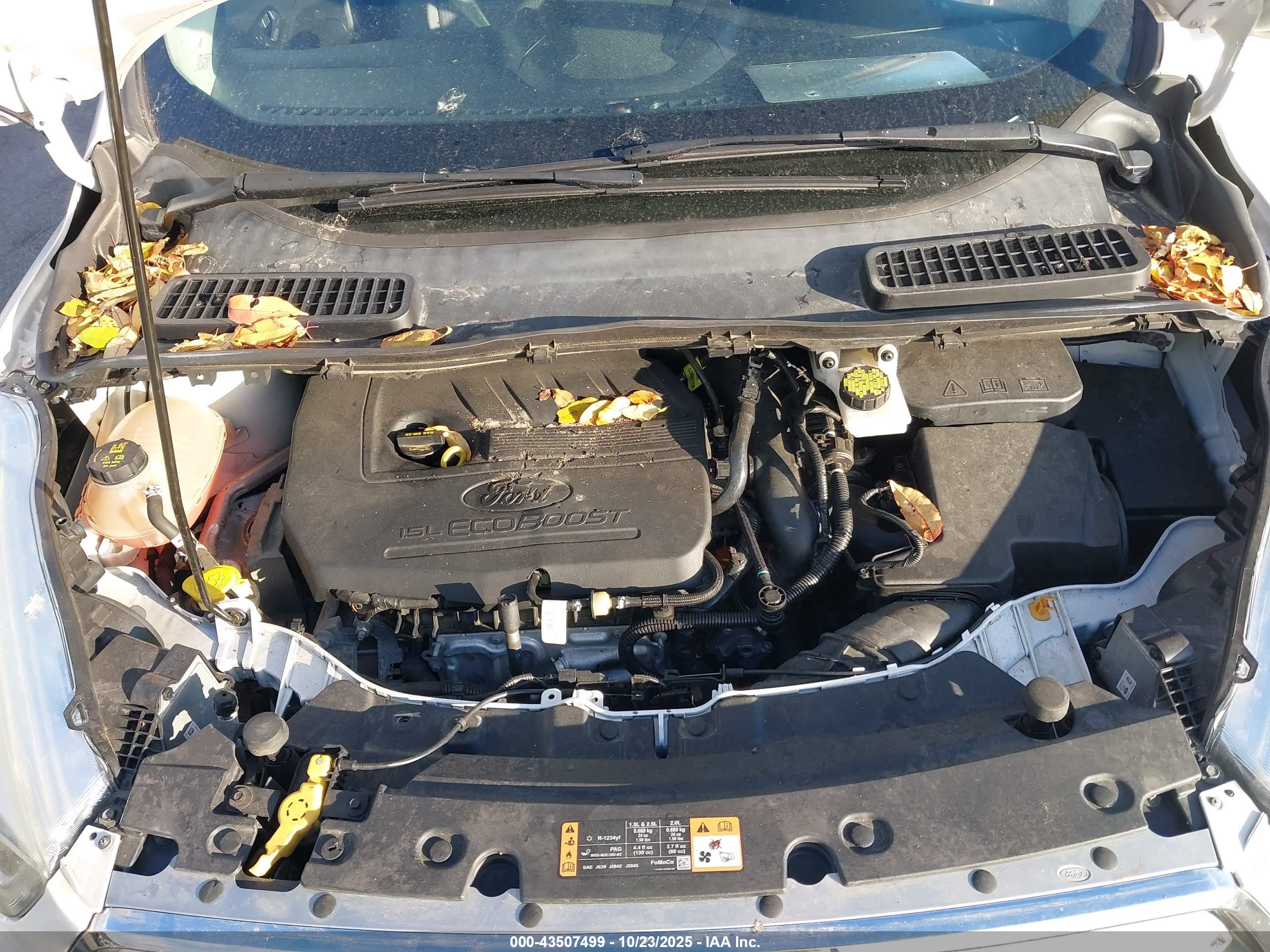 FORD ESCAPE image 10