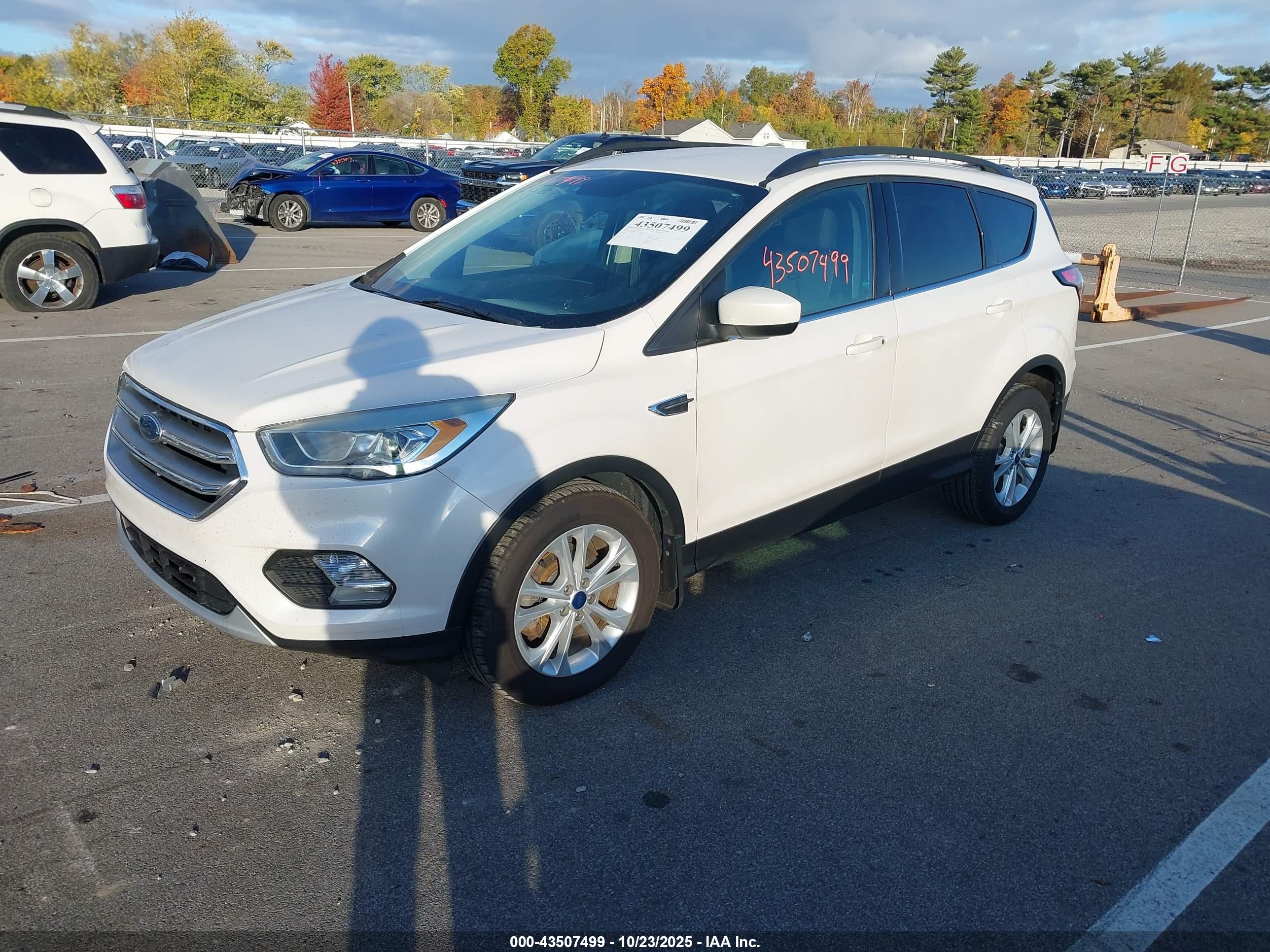 FORD ESCAPE image 2