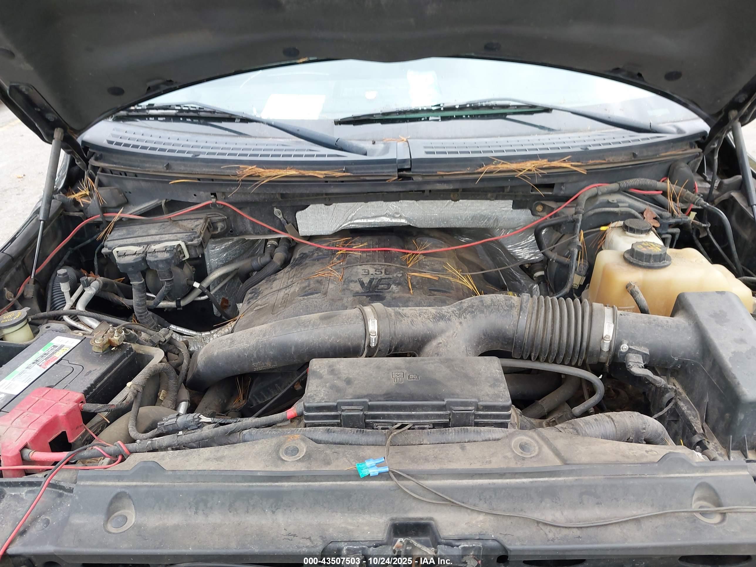 FORD F-150 image 10