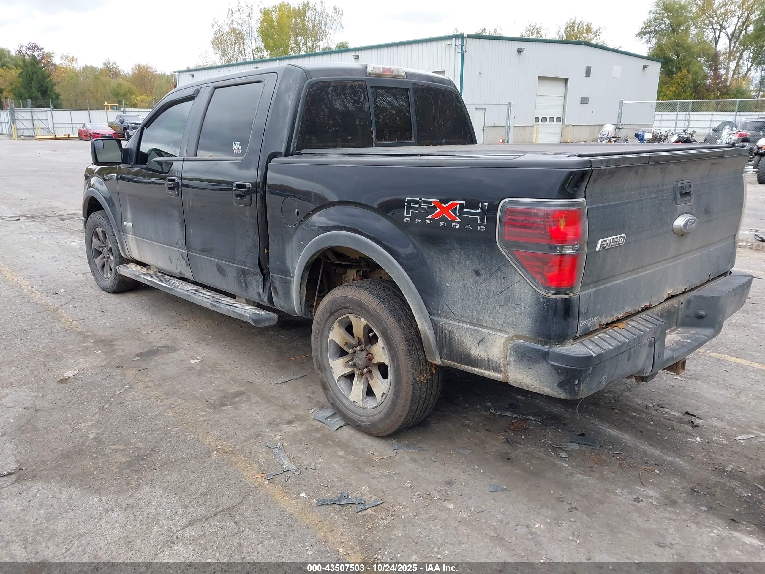 FORD F-150 image 3
