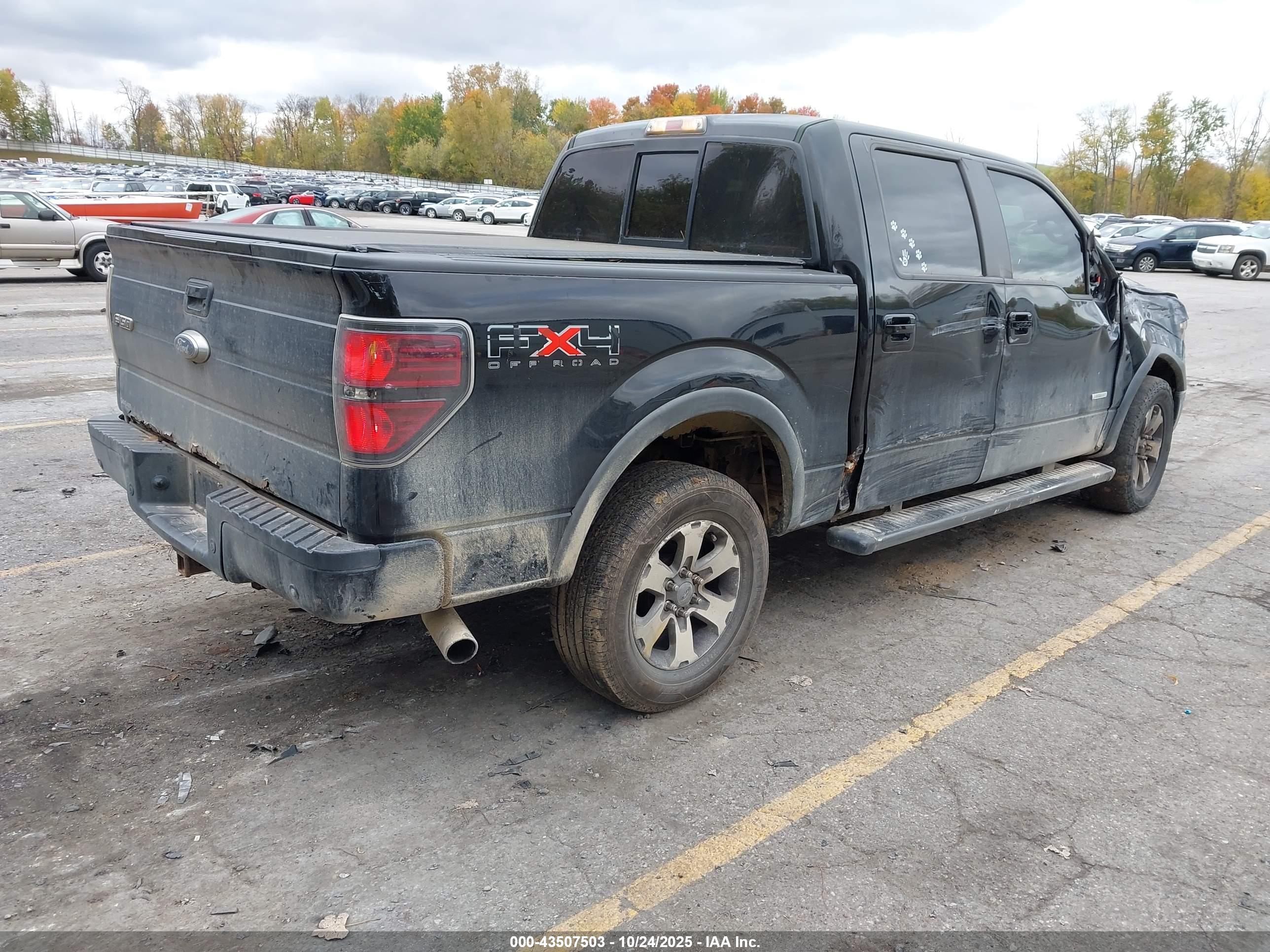 FORD F-150 image 4