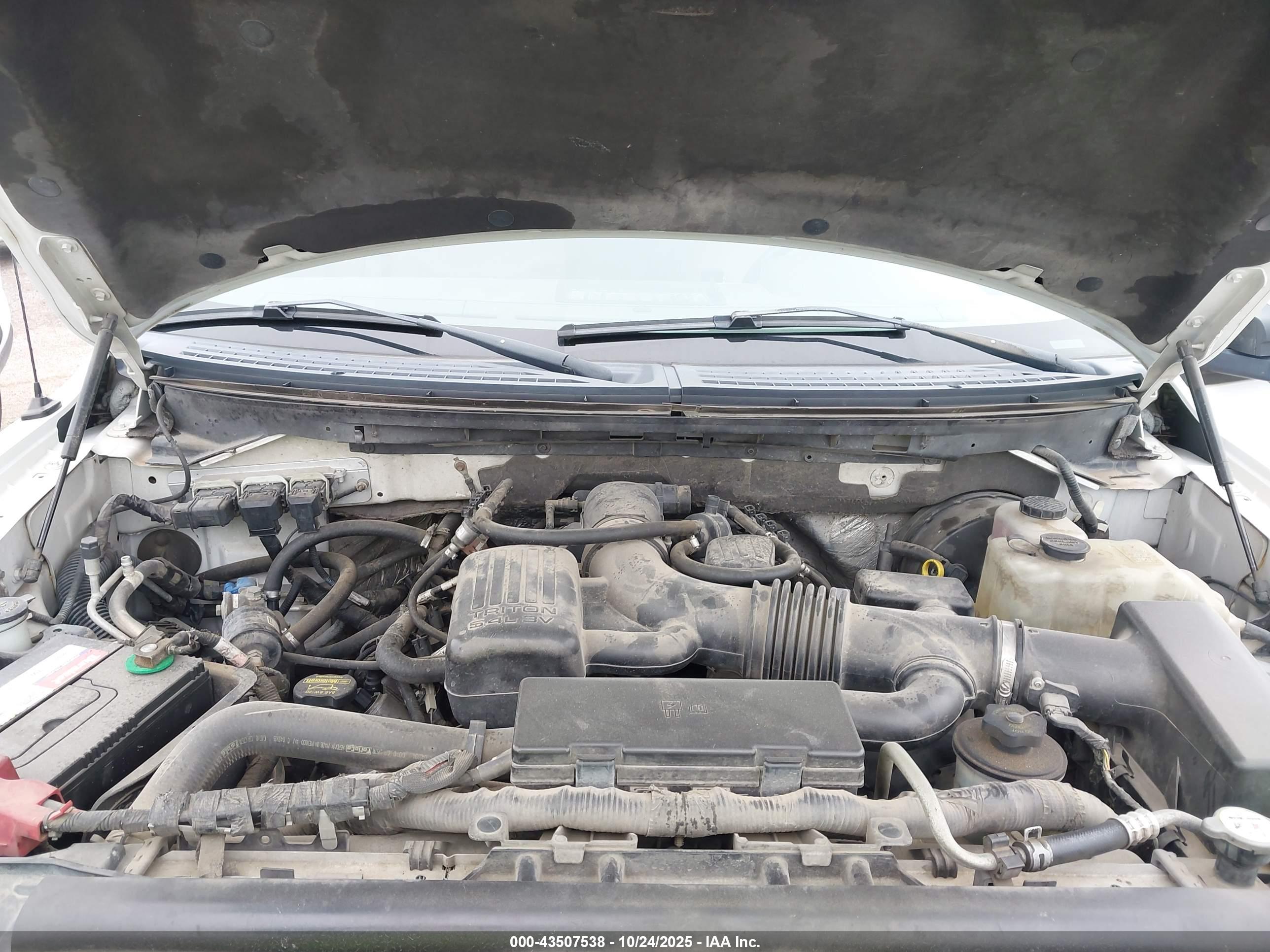 FORD F-150 image 10