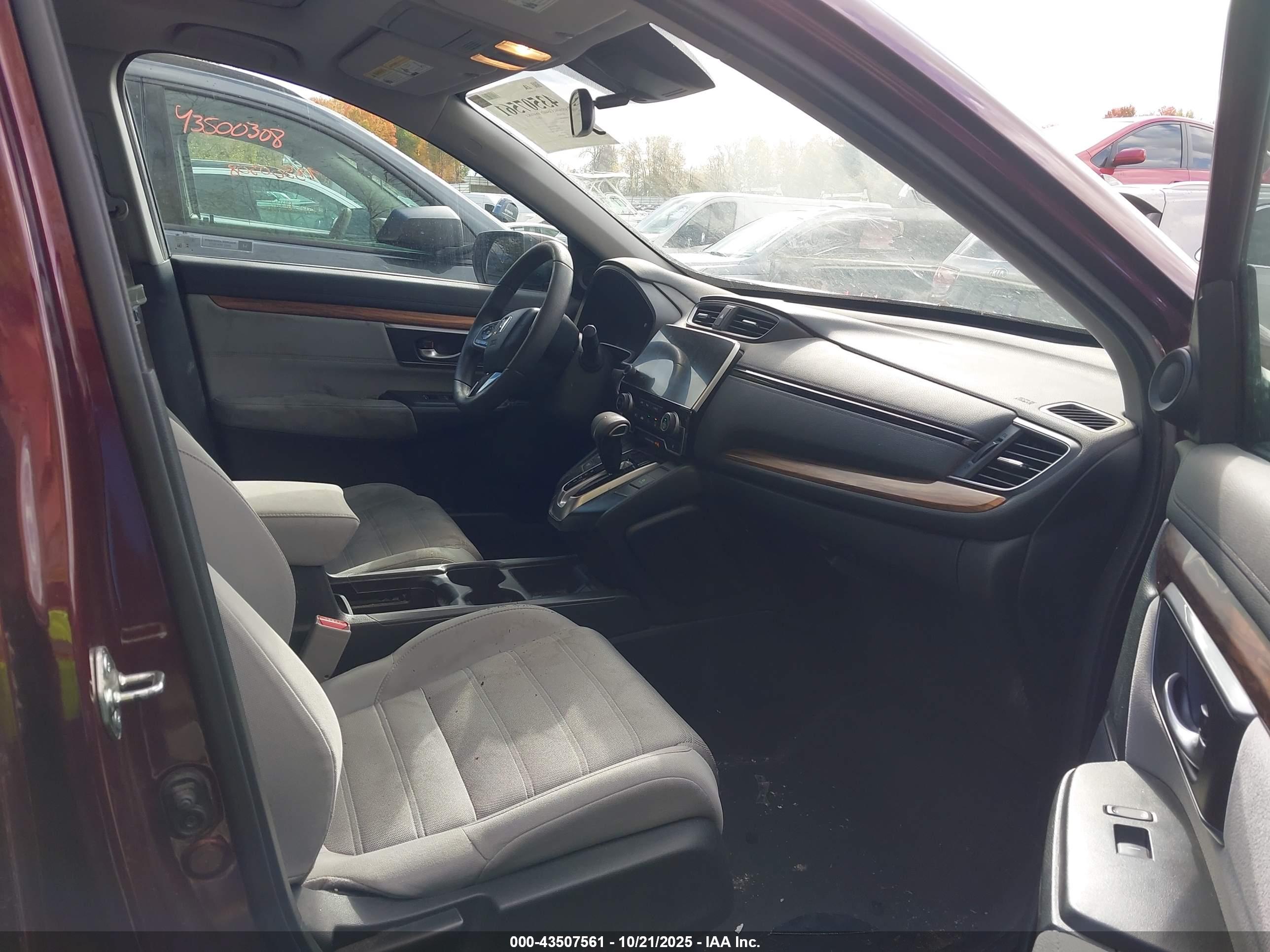 HONDA CR-V image 5