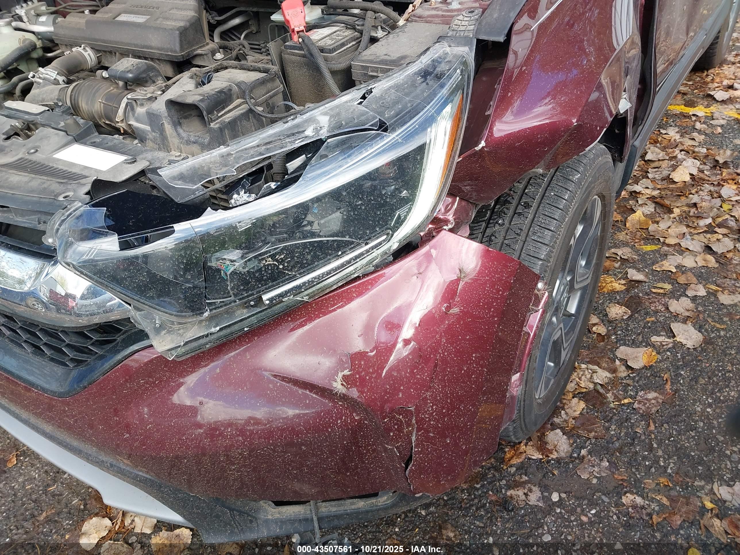HONDA CR-V image 6