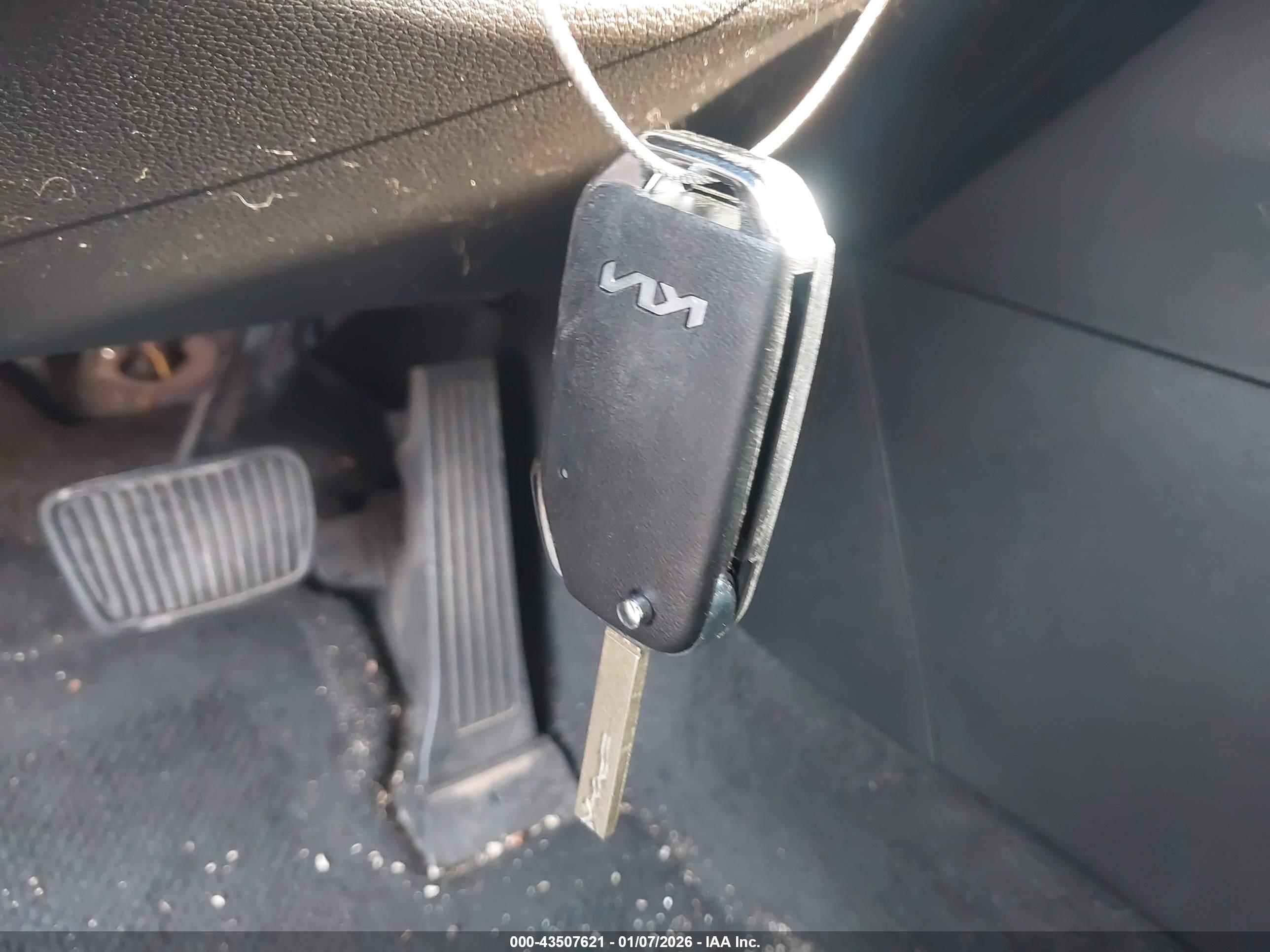 KIA SPORTAGE image 11