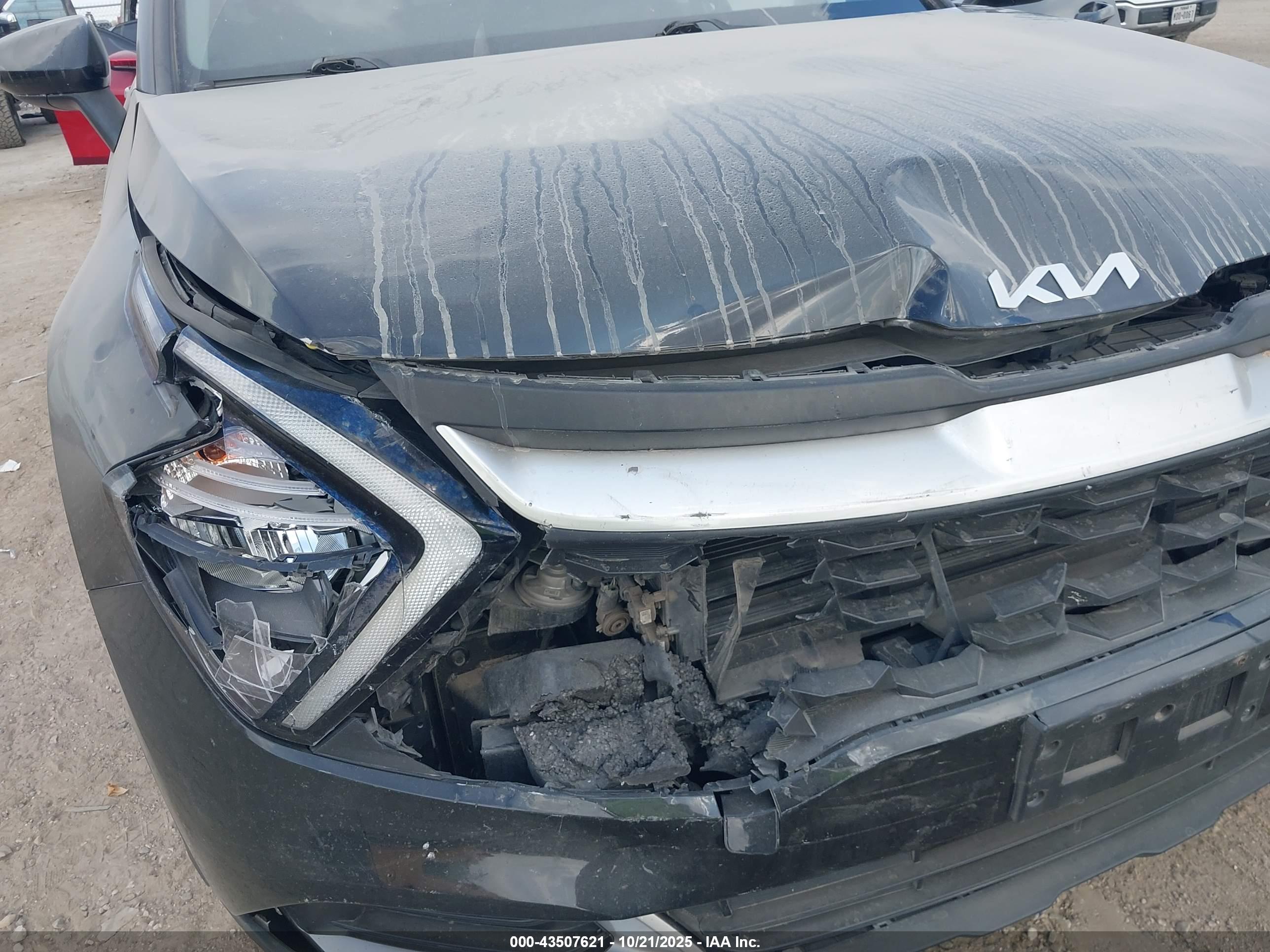 KIA SPORTAGE image 6