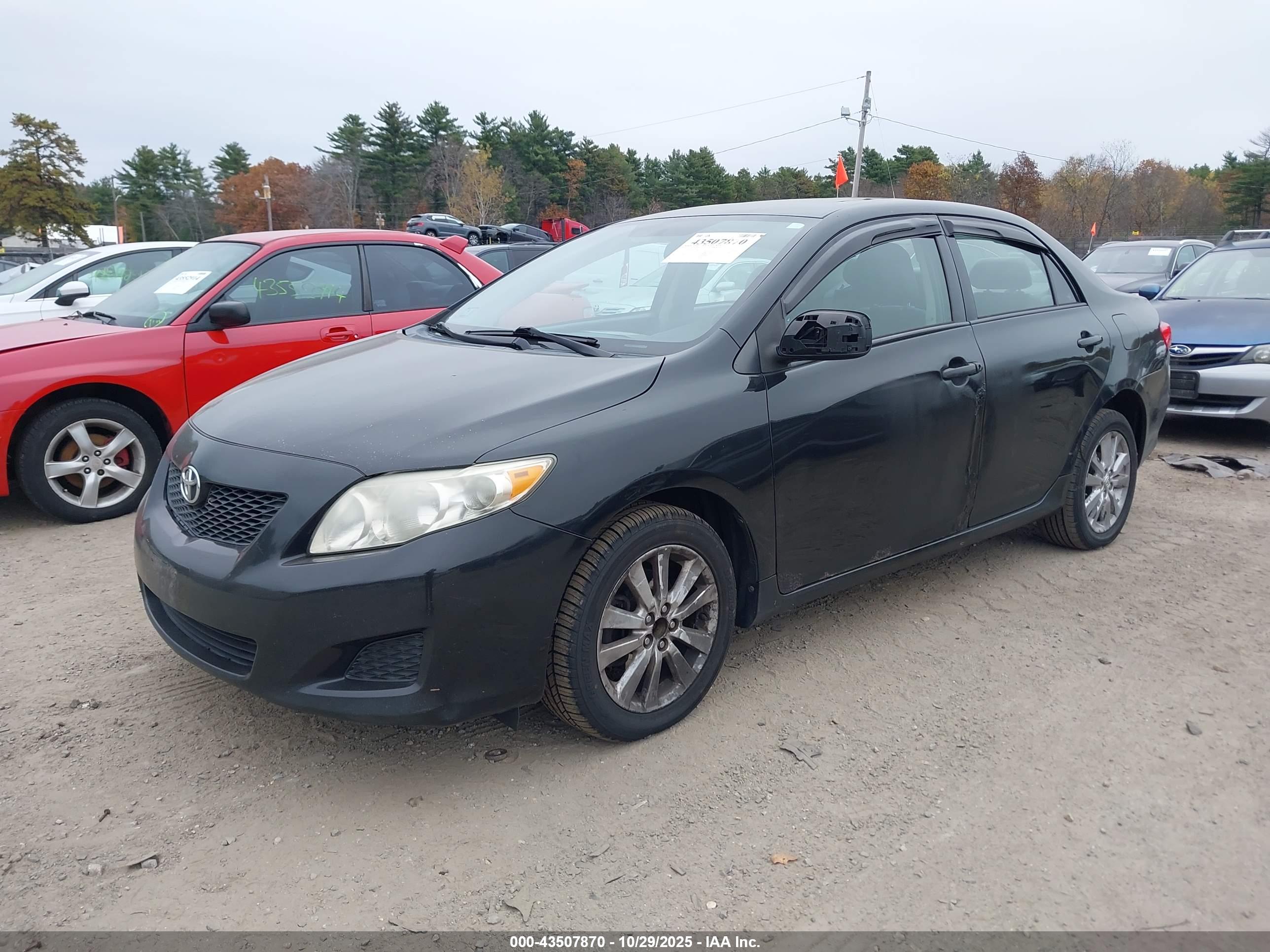 TOYOTA COROLLA image 2