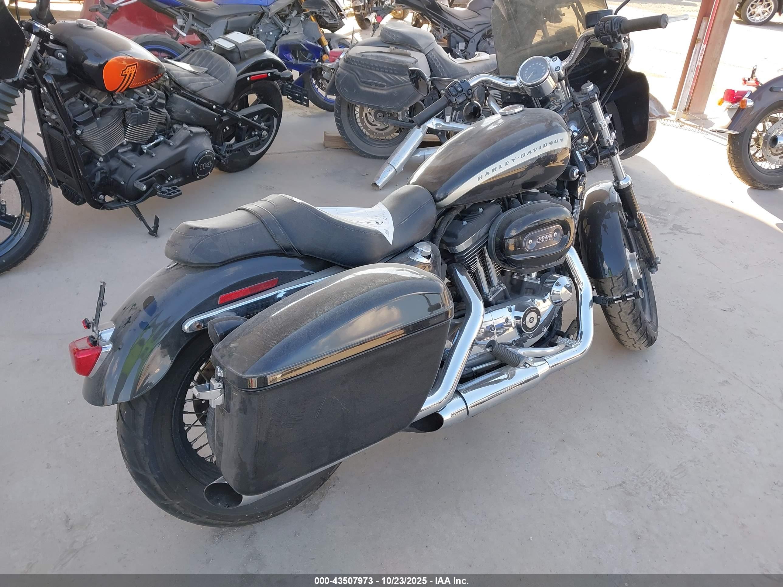 HARLEY-DAVIDSON XL1200 image 4