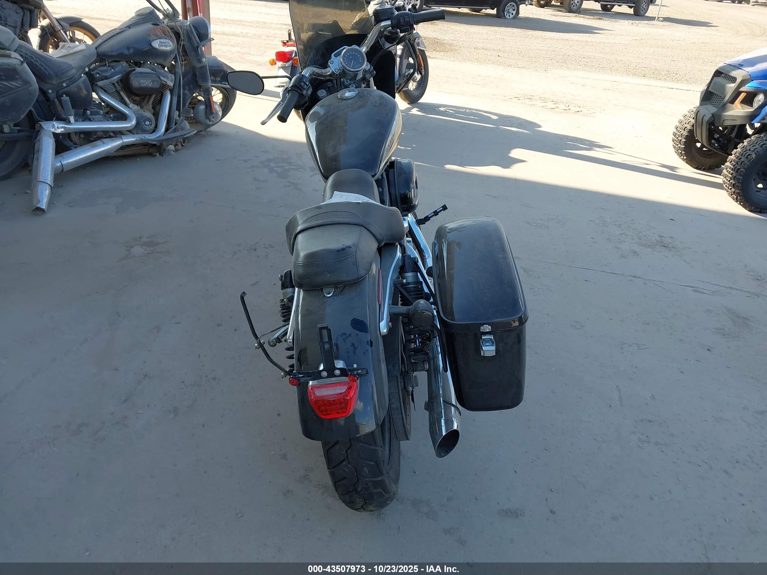 HARLEY-DAVIDSON XL1200 image 6