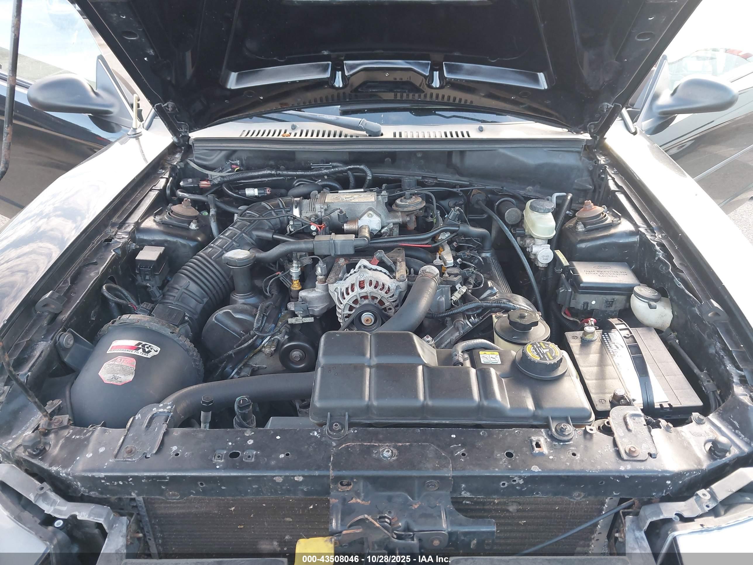 FORD MUSTANG image 10