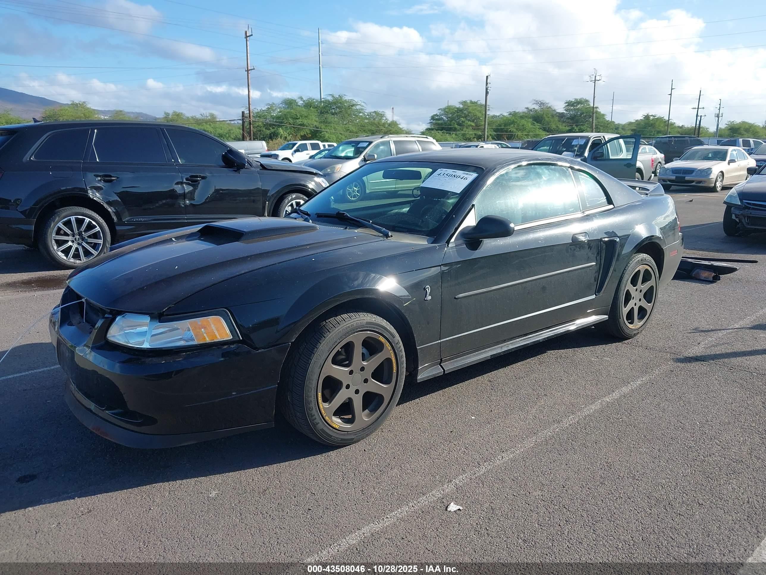 FORD MUSTANG image 2