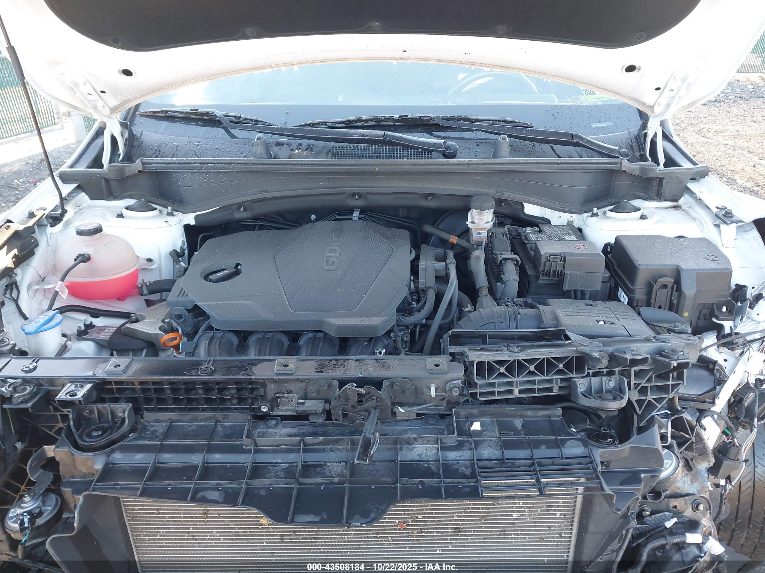 KIA SPORTAGE image 10