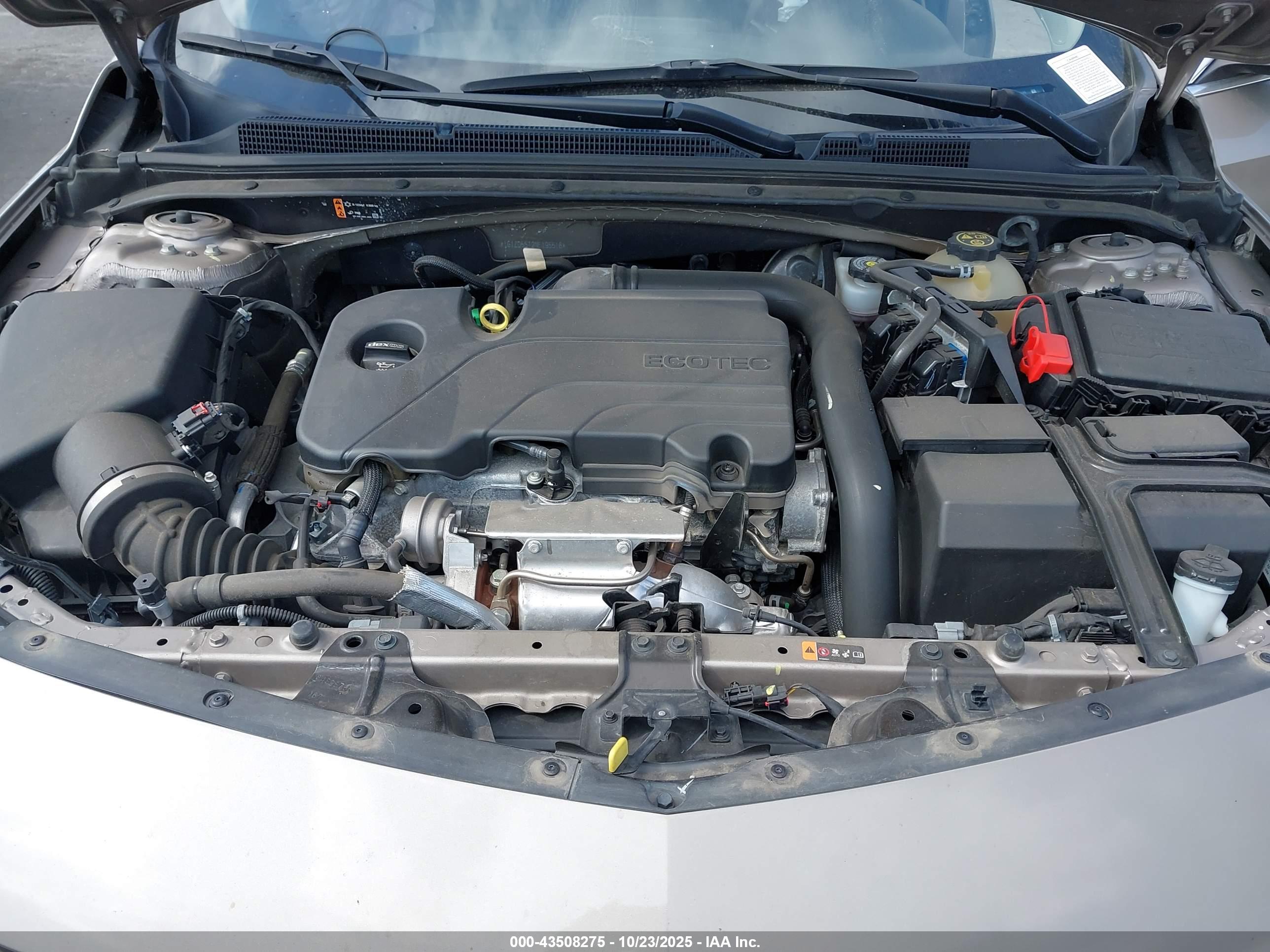 CHEVROLET MALIBU image 10