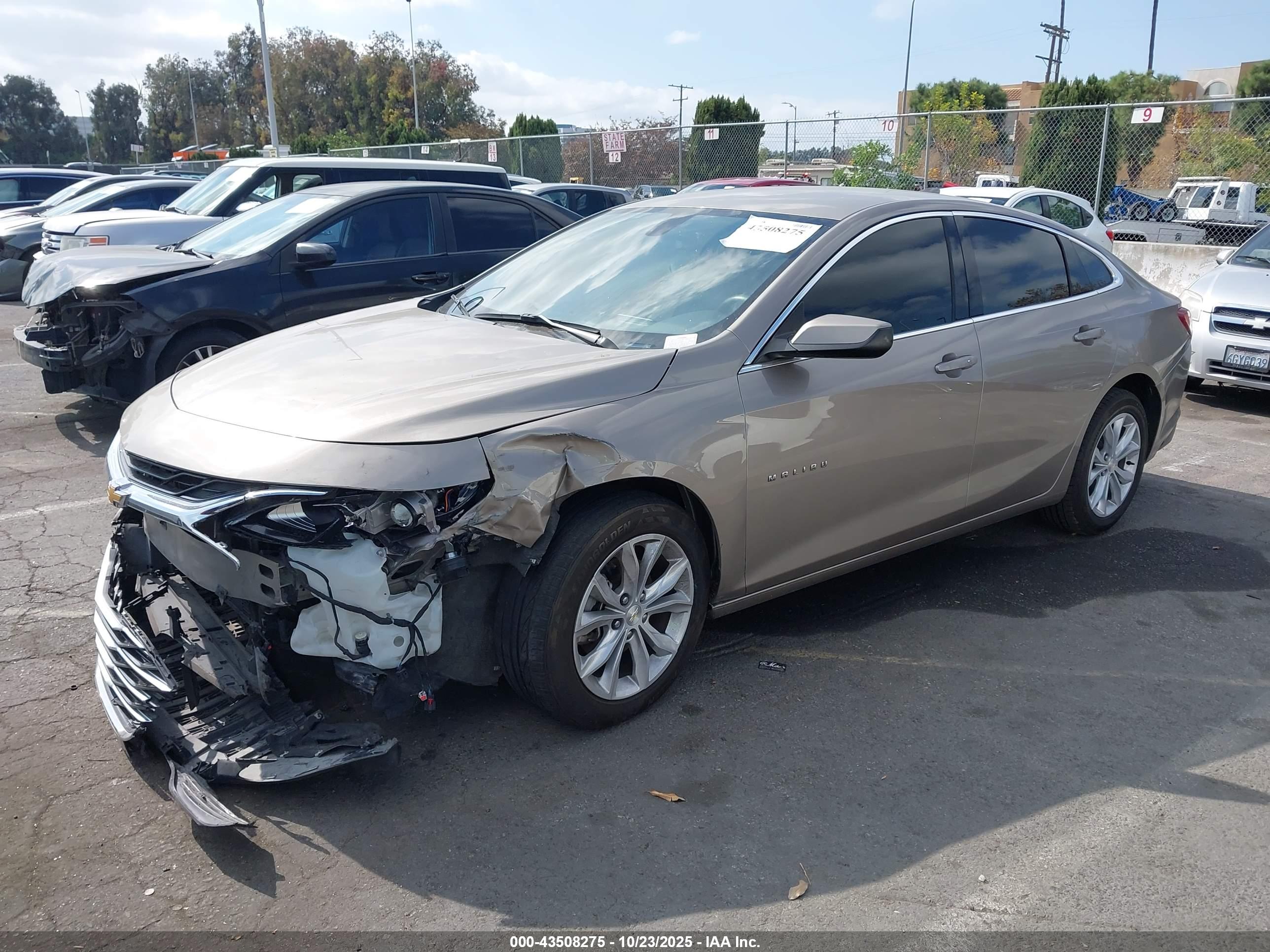 CHEVROLET MALIBU image 2