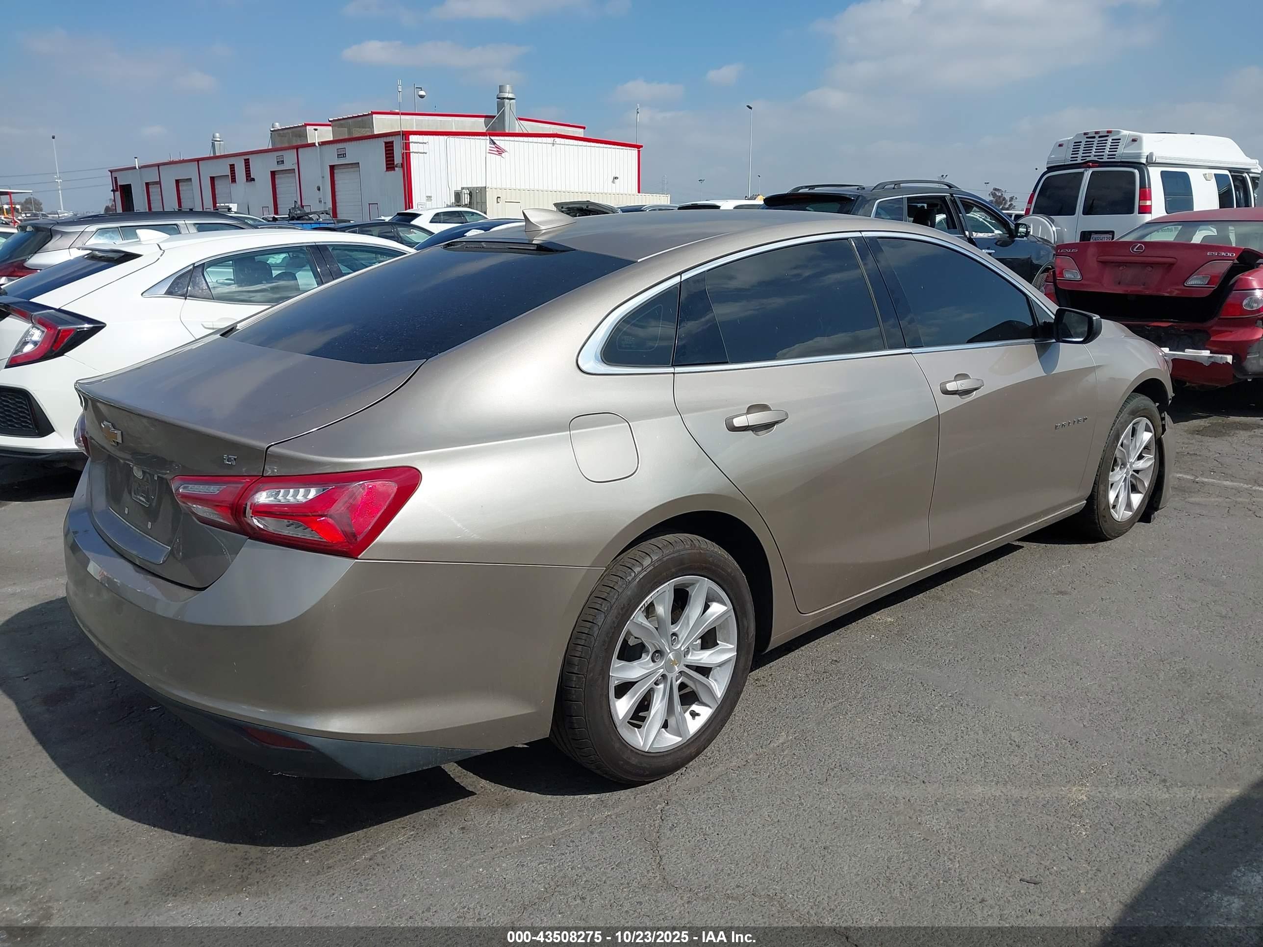 CHEVROLET MALIBU image 4