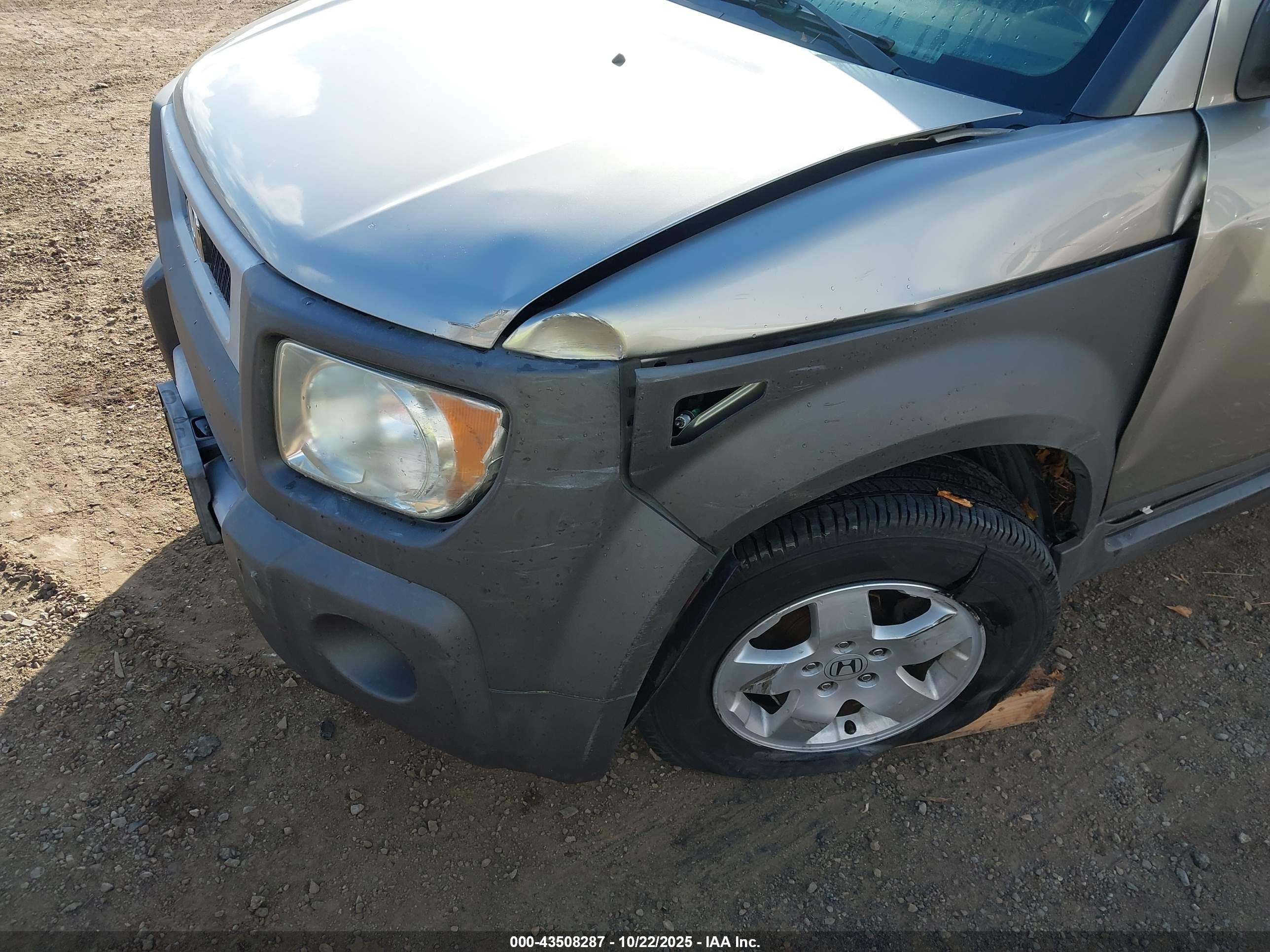 HONDA ELEMENT image 6