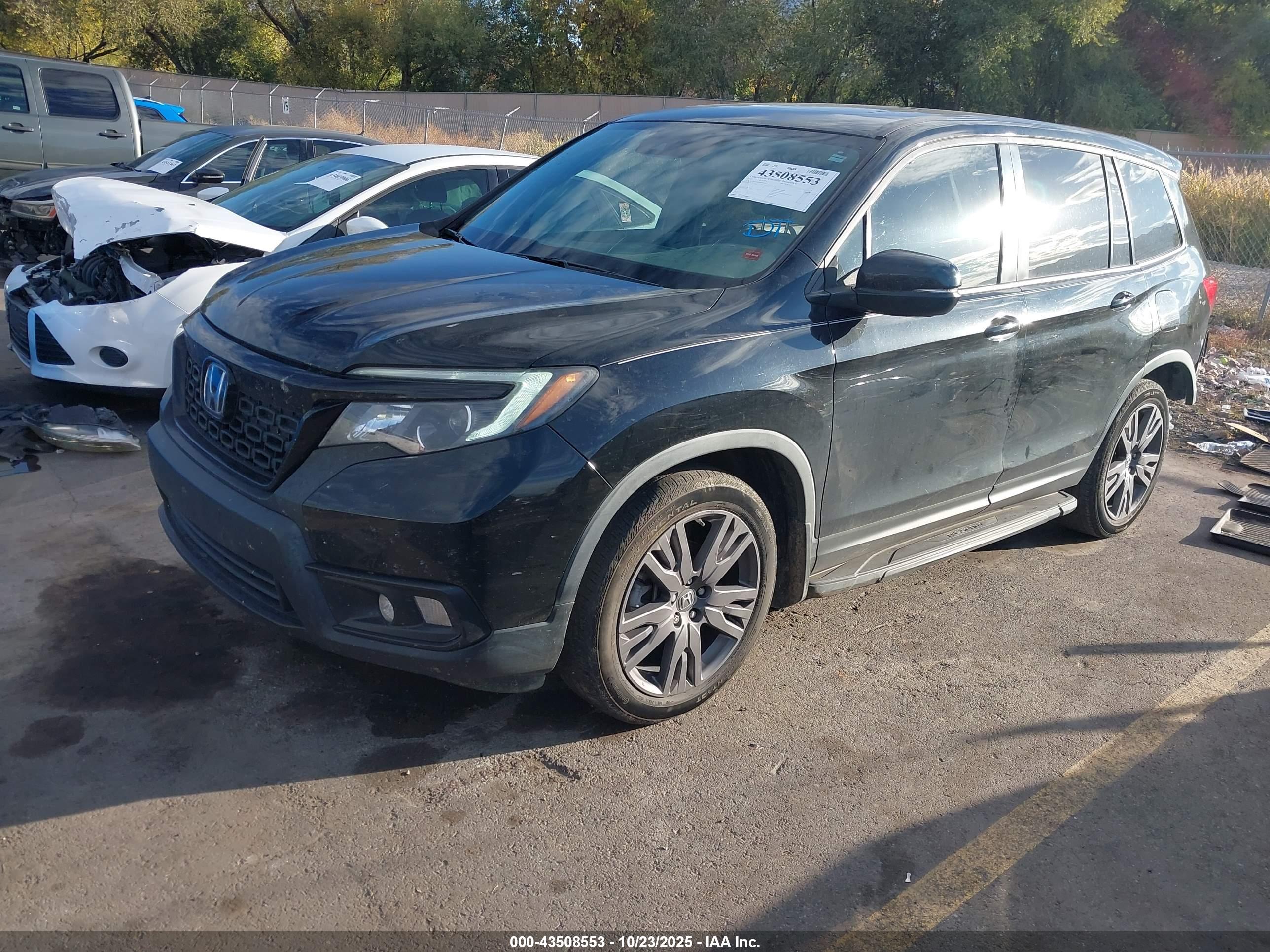 HONDA PASSPORT image 2