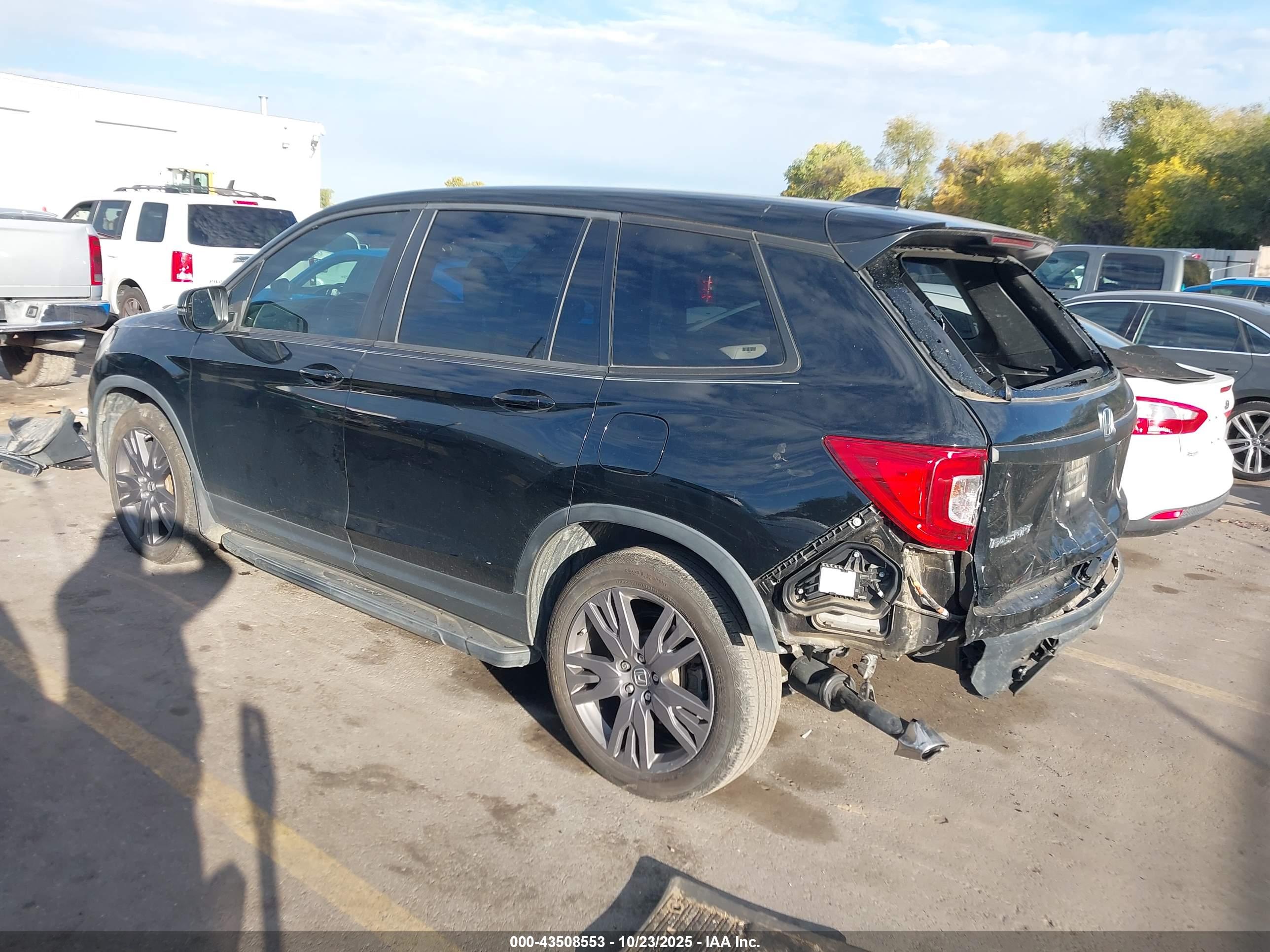 HONDA PASSPORT image 3