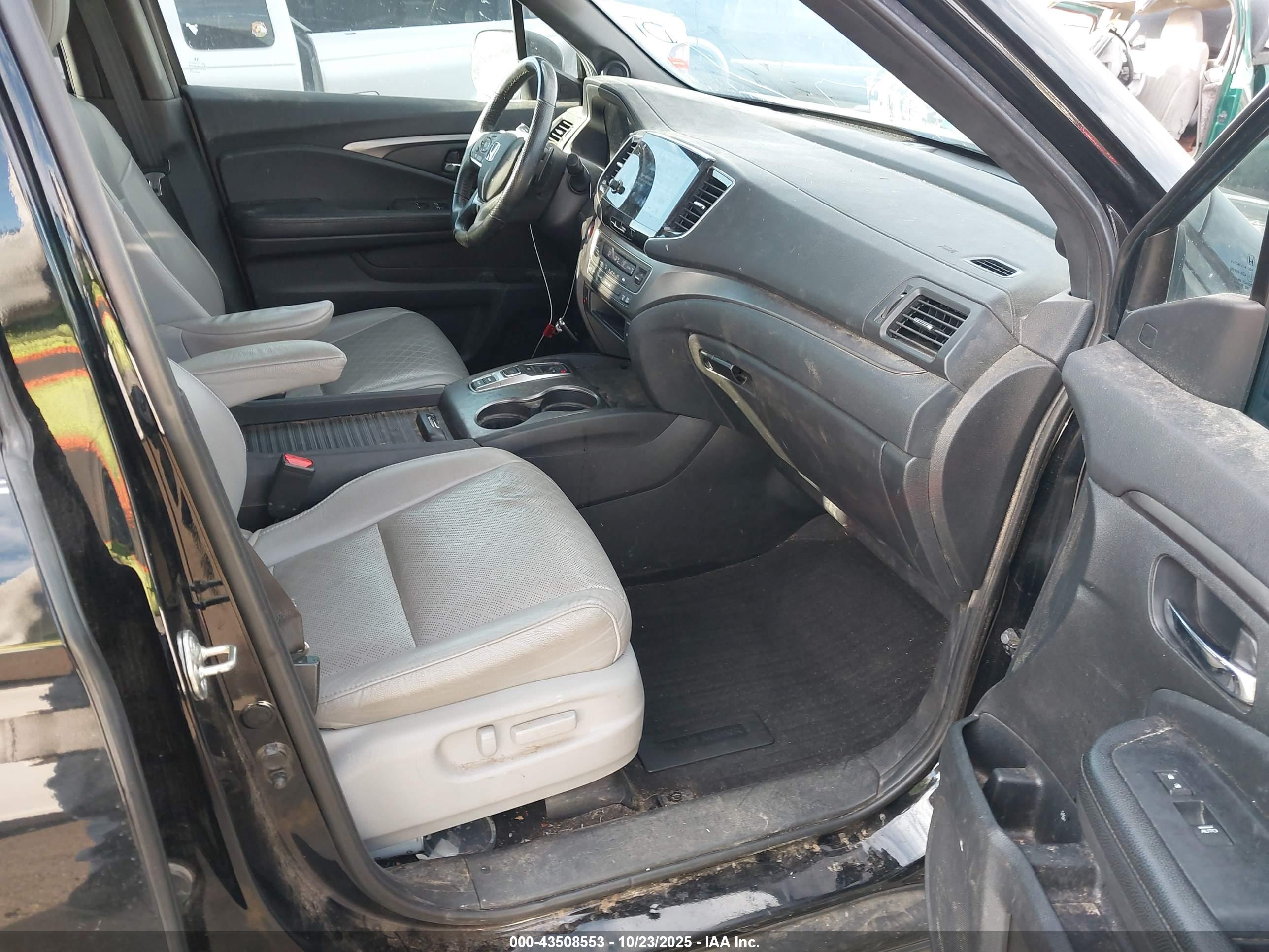 HONDA PASSPORT image 5