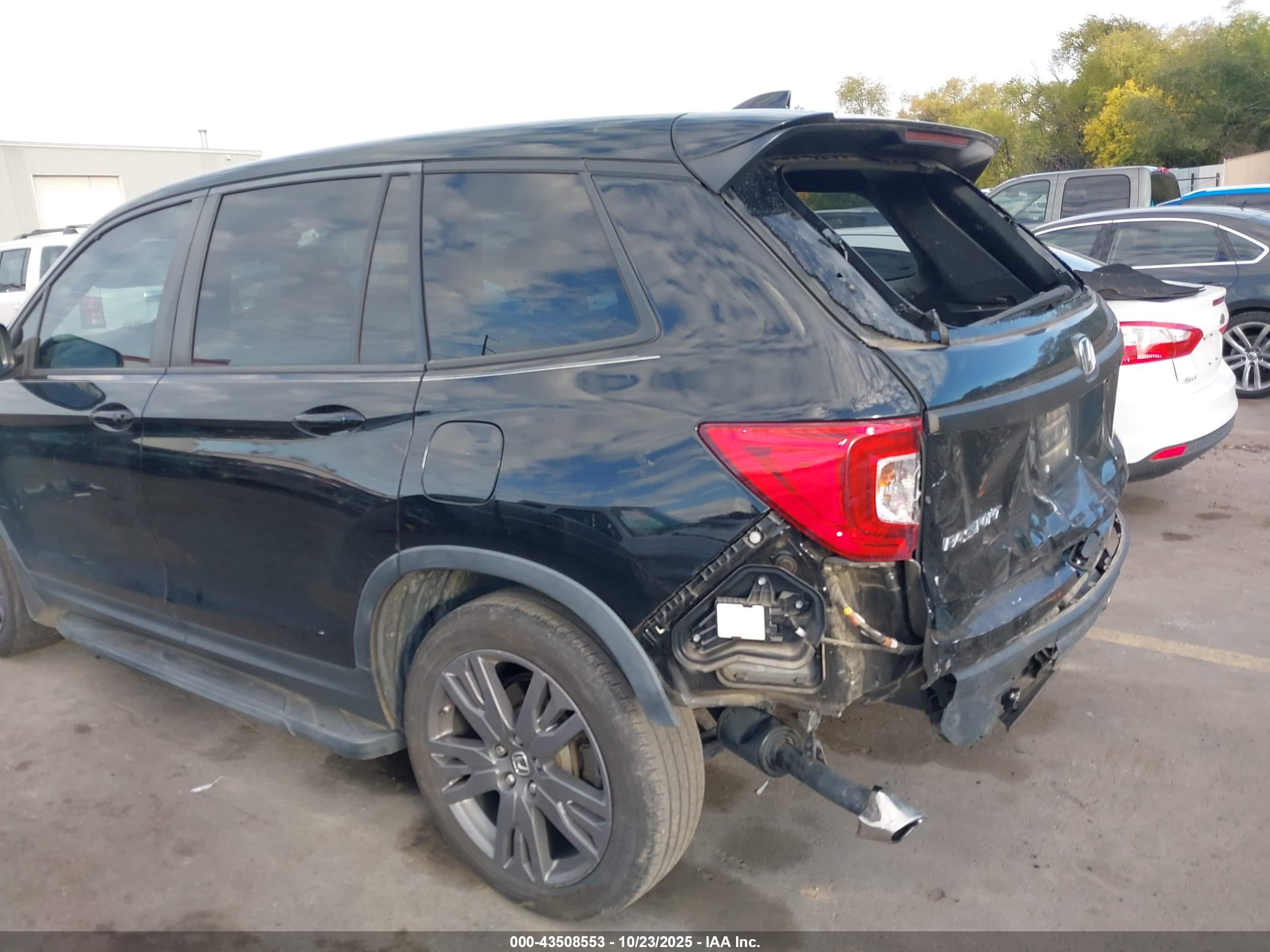 HONDA PASSPORT image 6