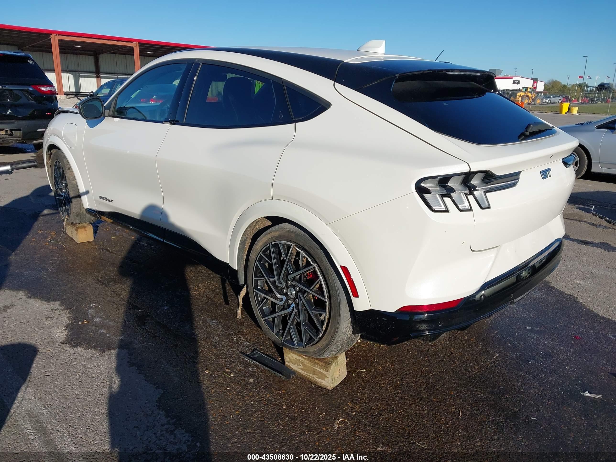 FORD MUSTANG image 3