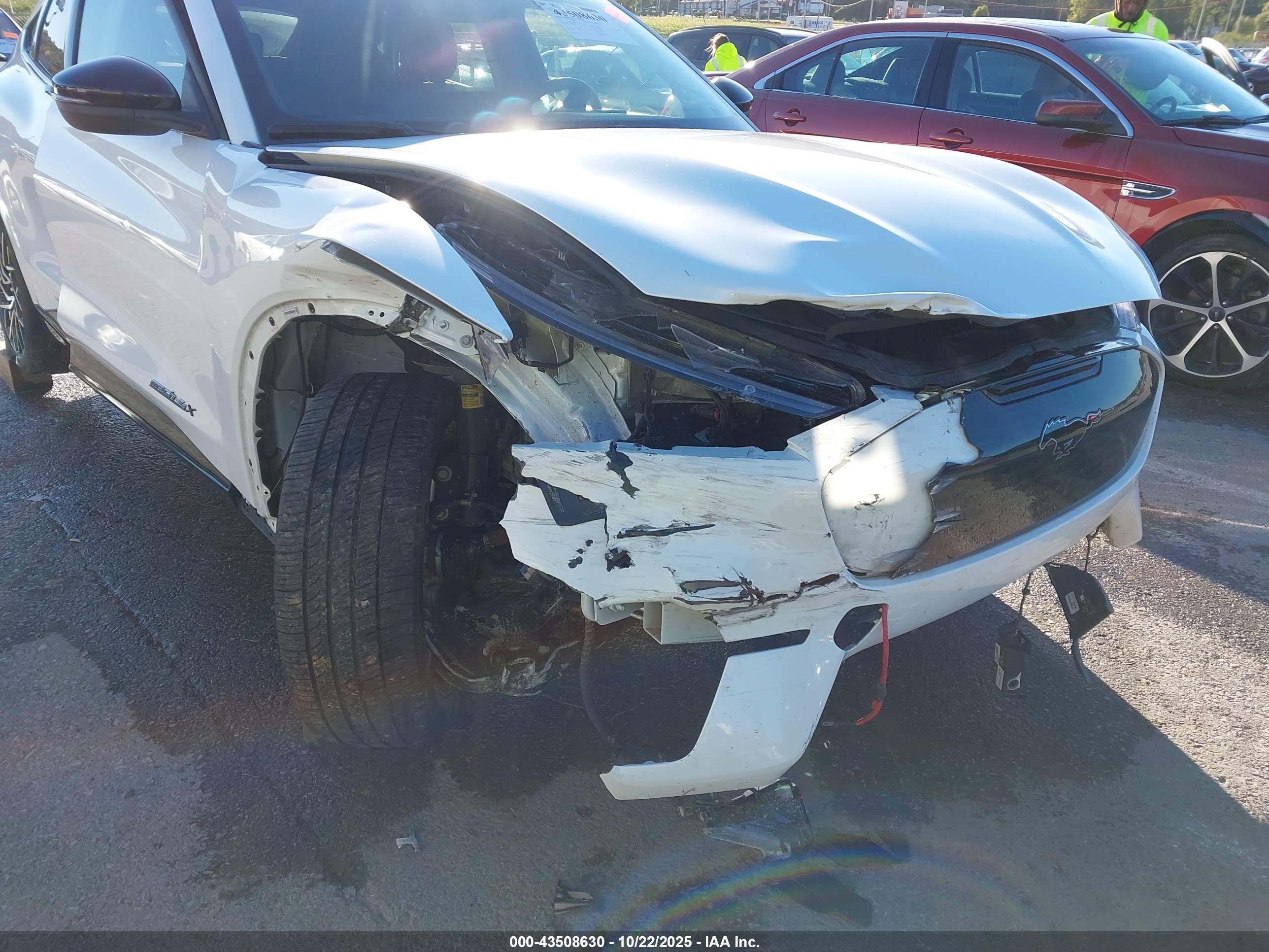 FORD MUSTANG image 6