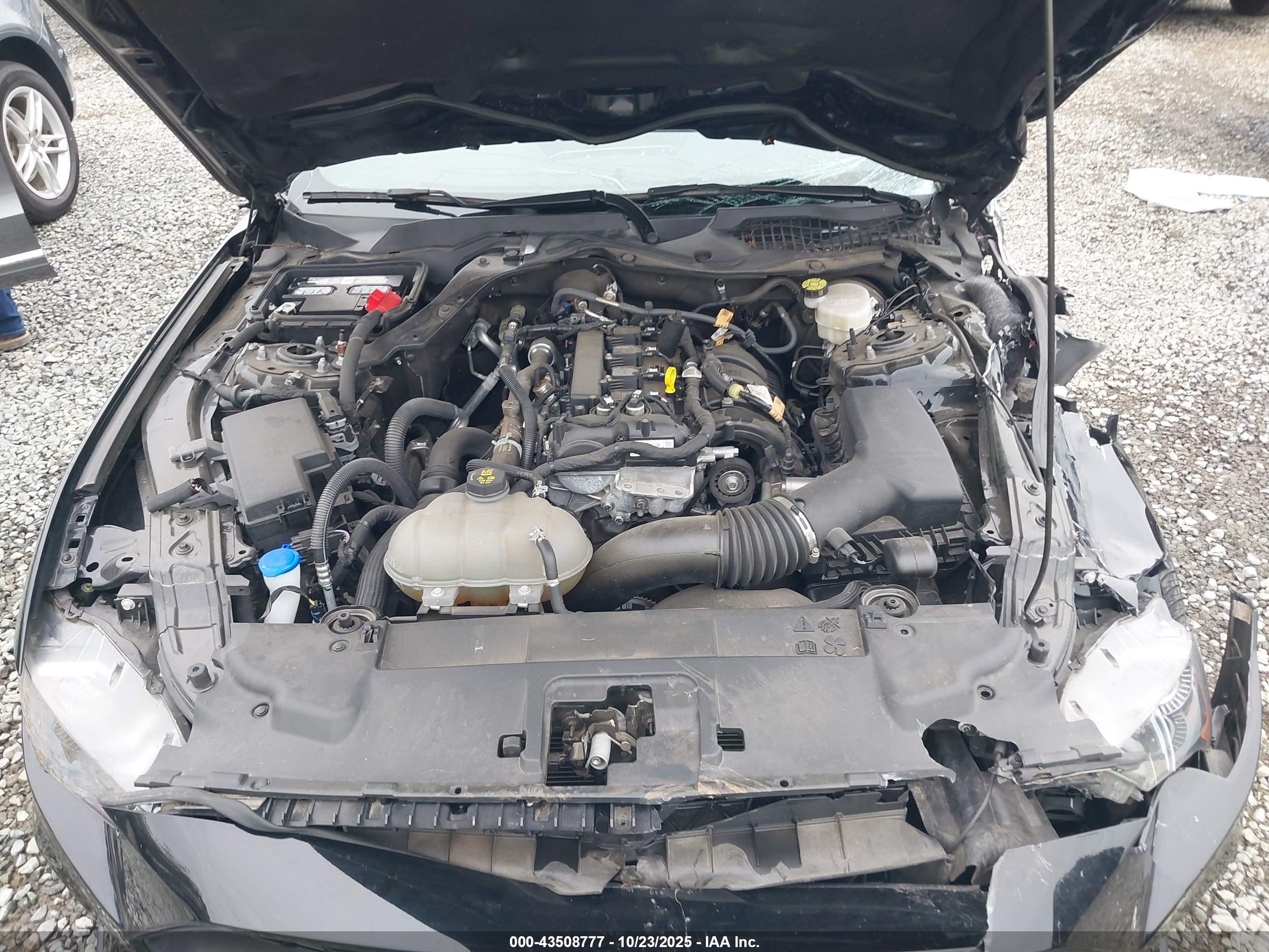 FORD MUSTANG image 10
