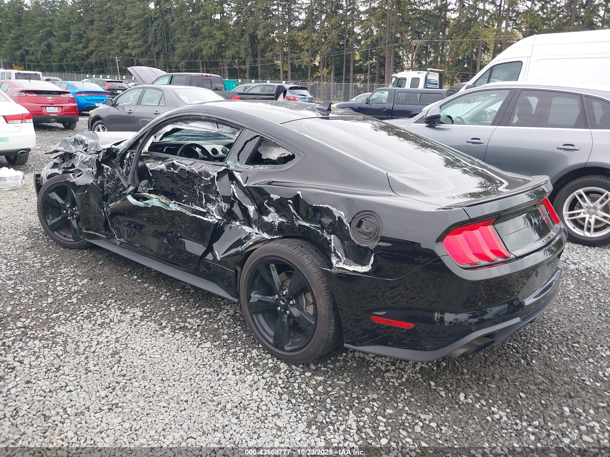 FORD MUSTANG image 3