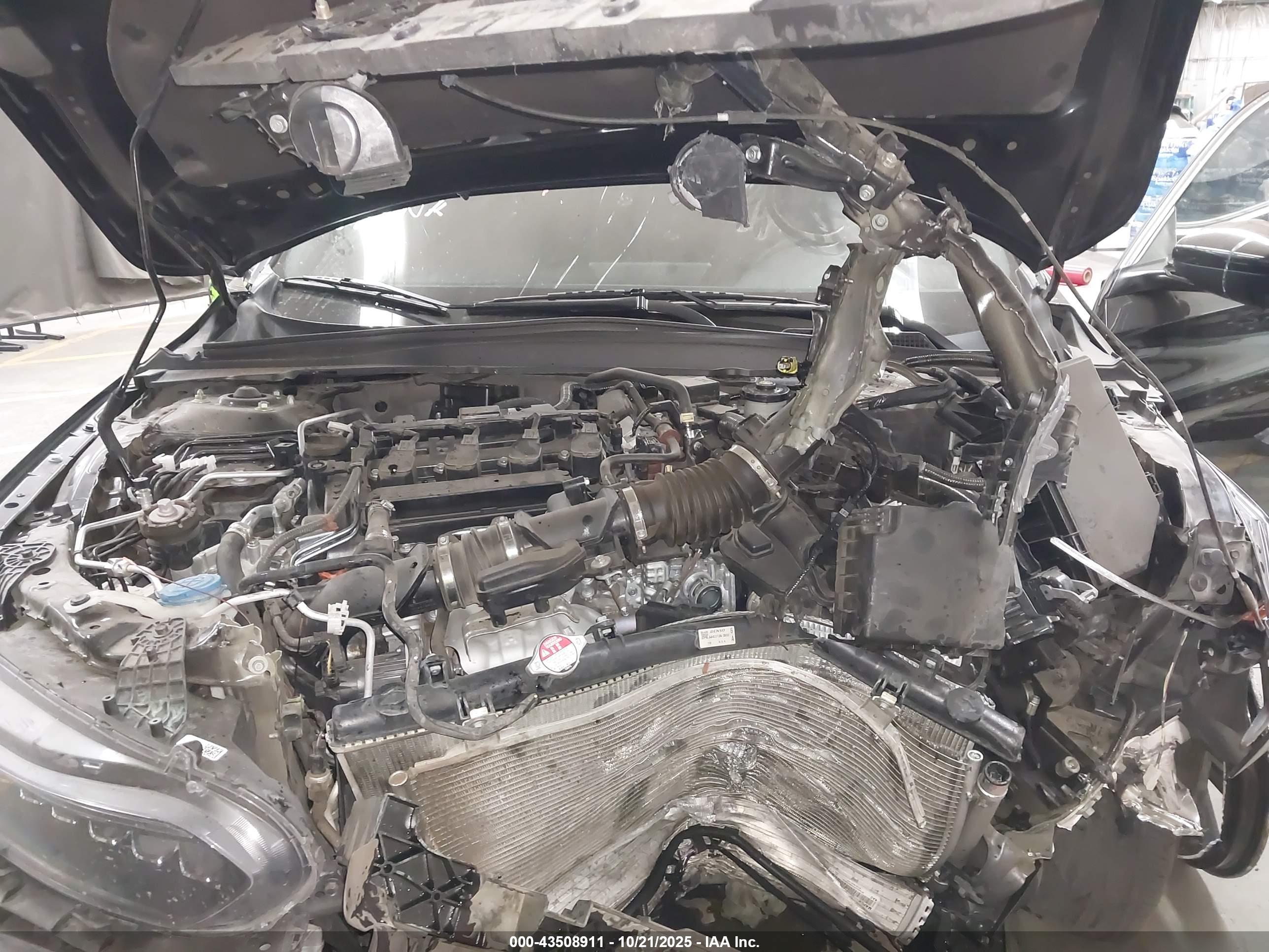 HONDA ACCORD image 10